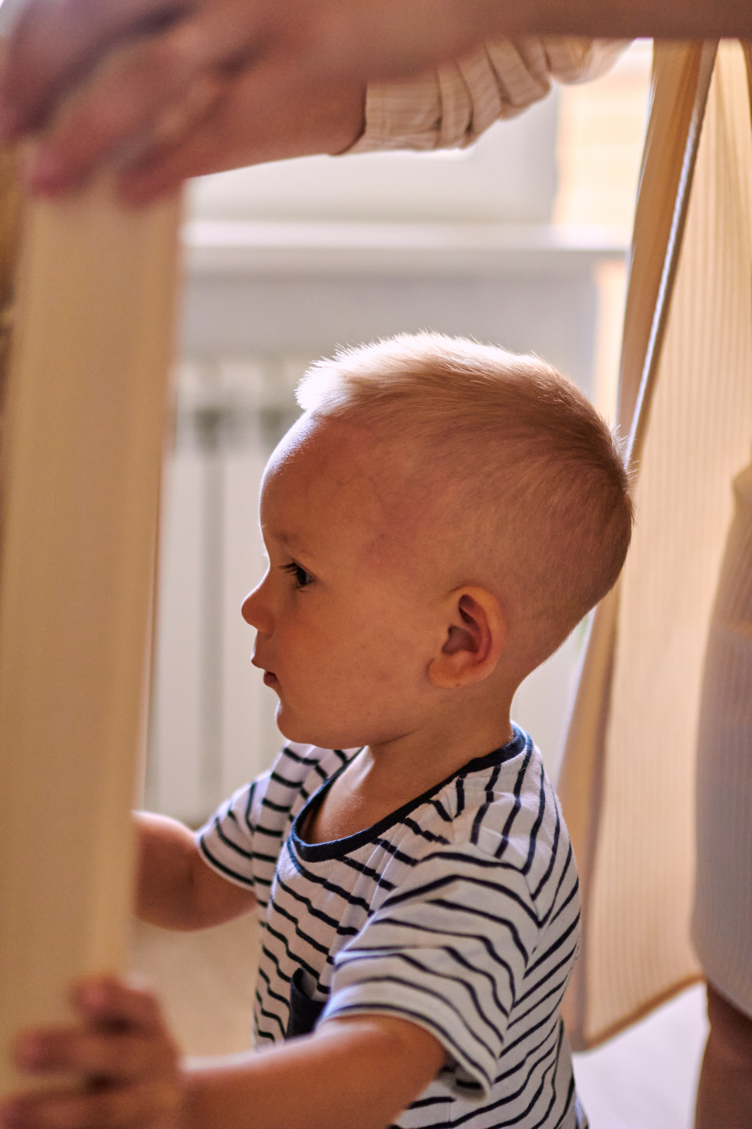 Альберт/Айгуль/Адель