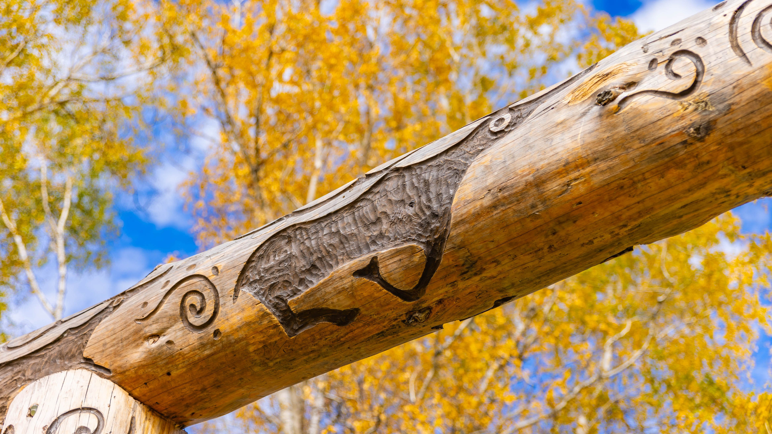 2025 09 Алтай. Чуйский тракт. Фотографии