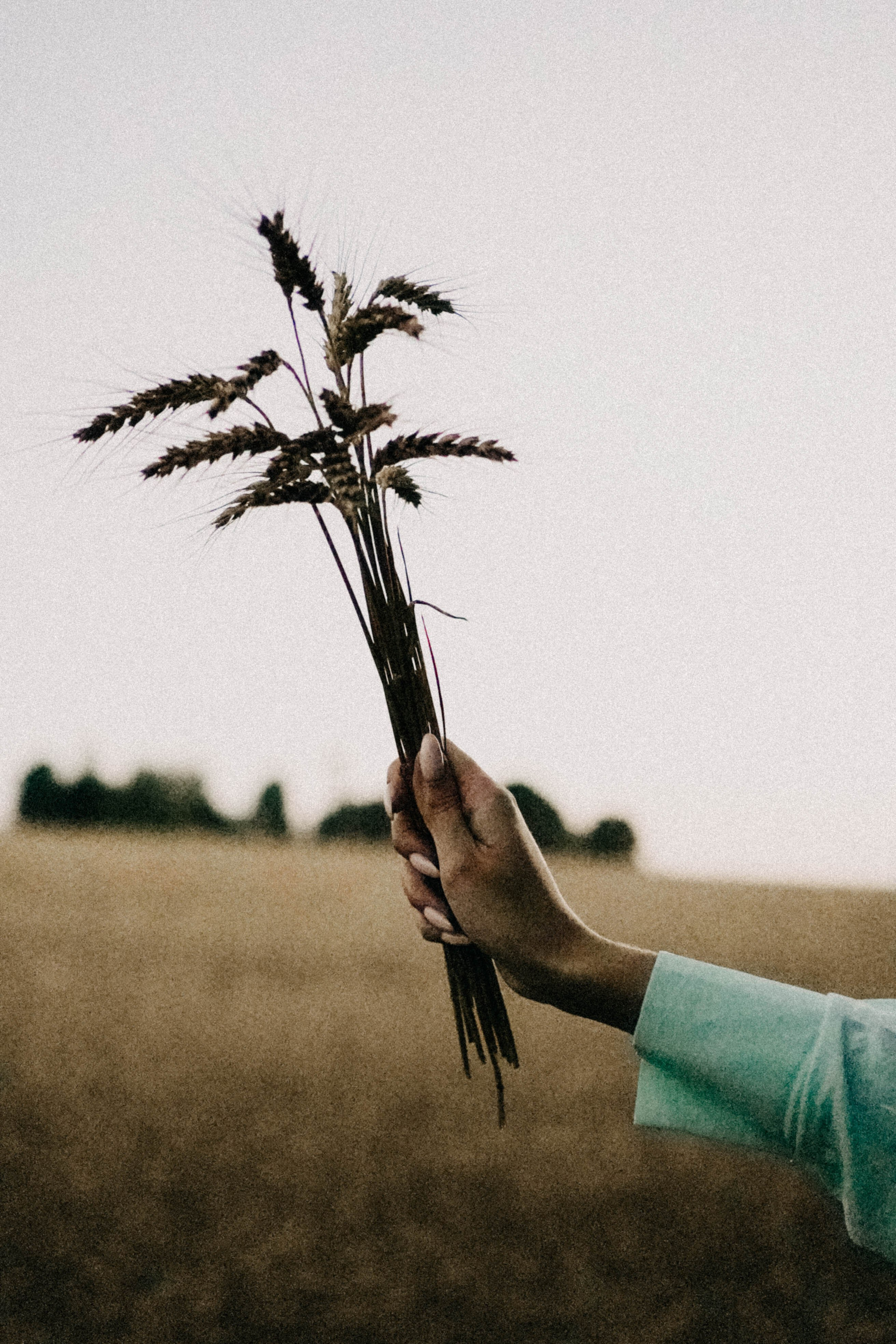 Летний вечер. Профессиональный фотограф, Санкт-Петербург — Виктория Богомолова