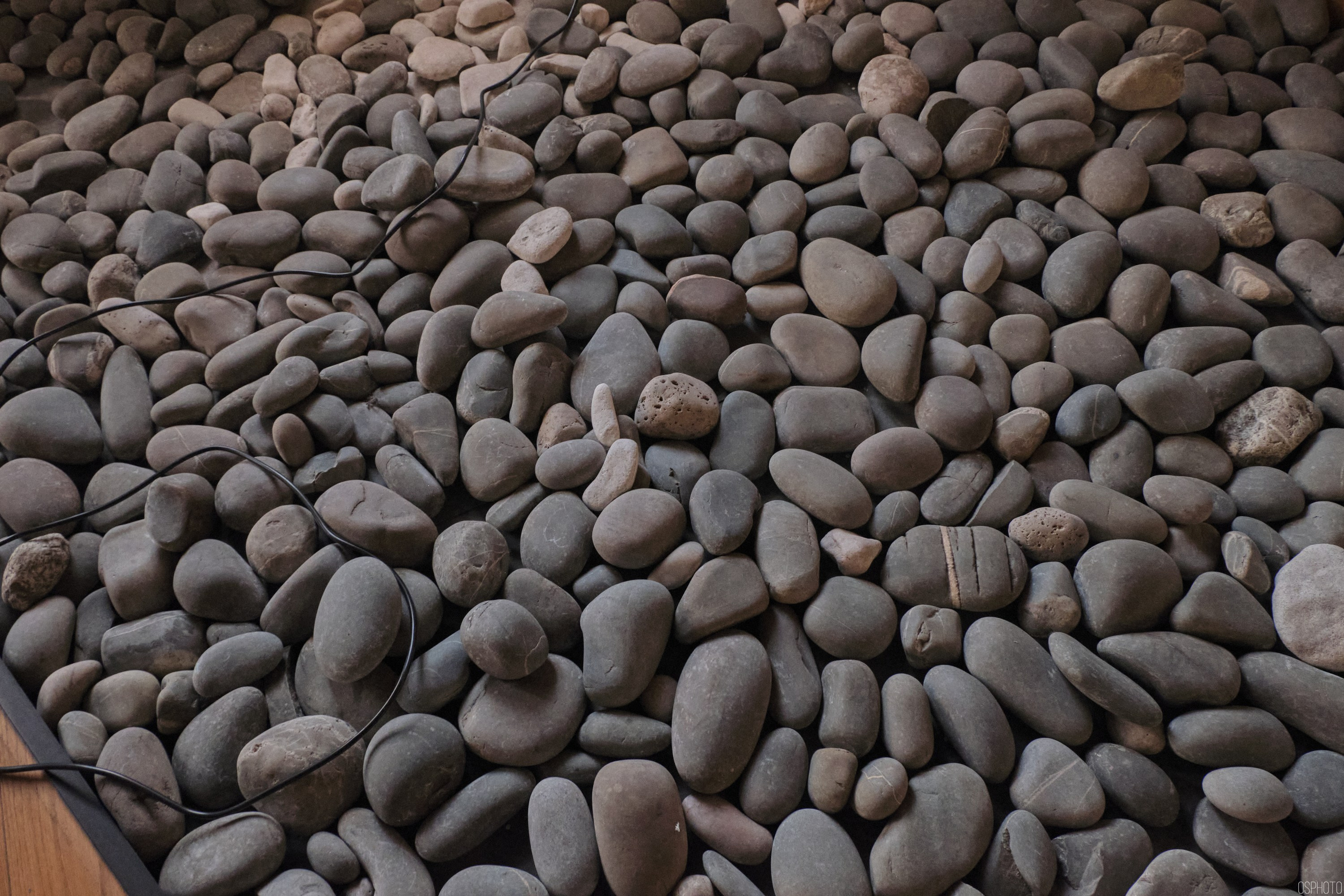 Санкт-Петербург. Фотографъ Сергѣевъ. Поймать мгновеніе