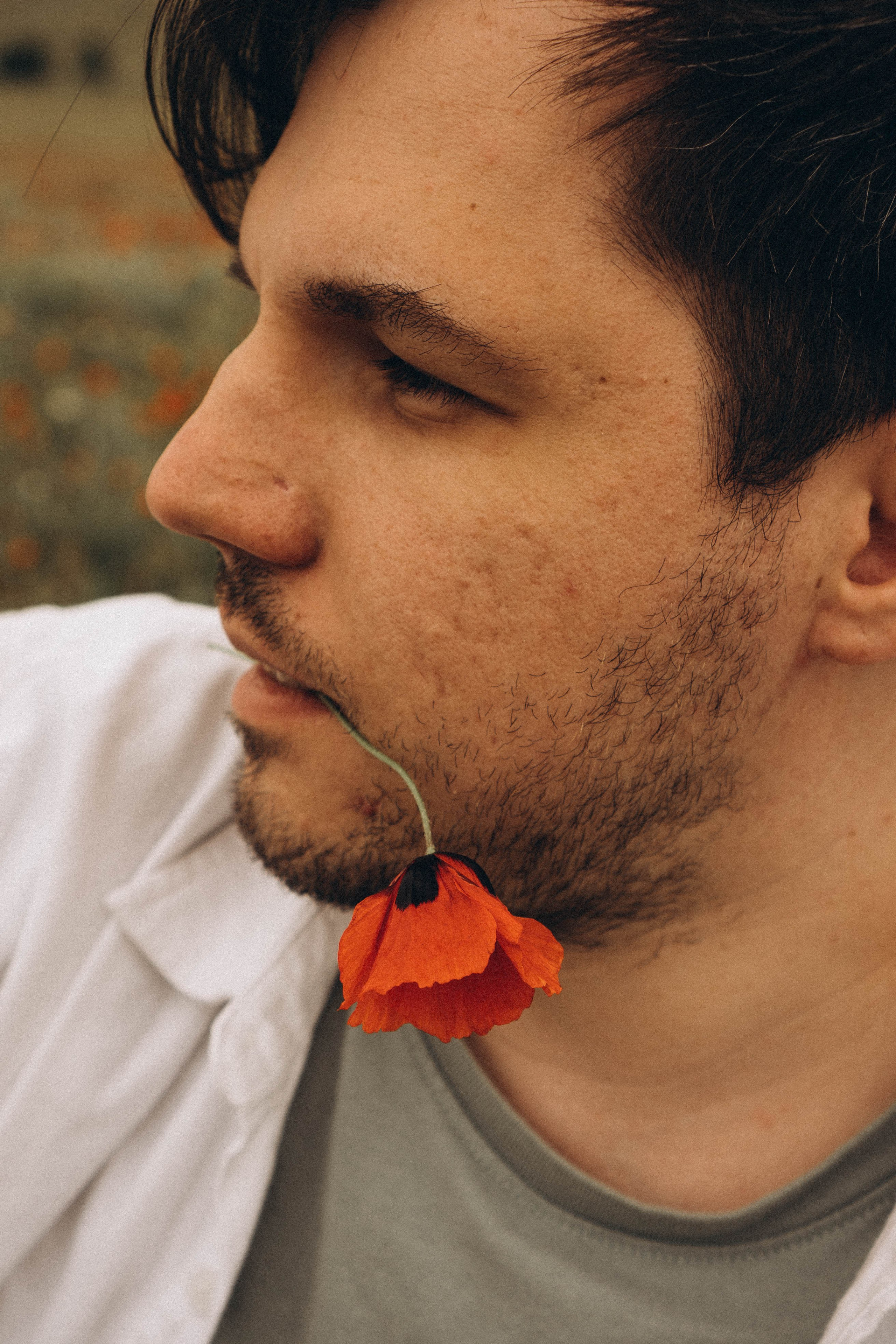 Маки. Профессиональный фотограф, Санкт-Петербург — Виктория Богомолова