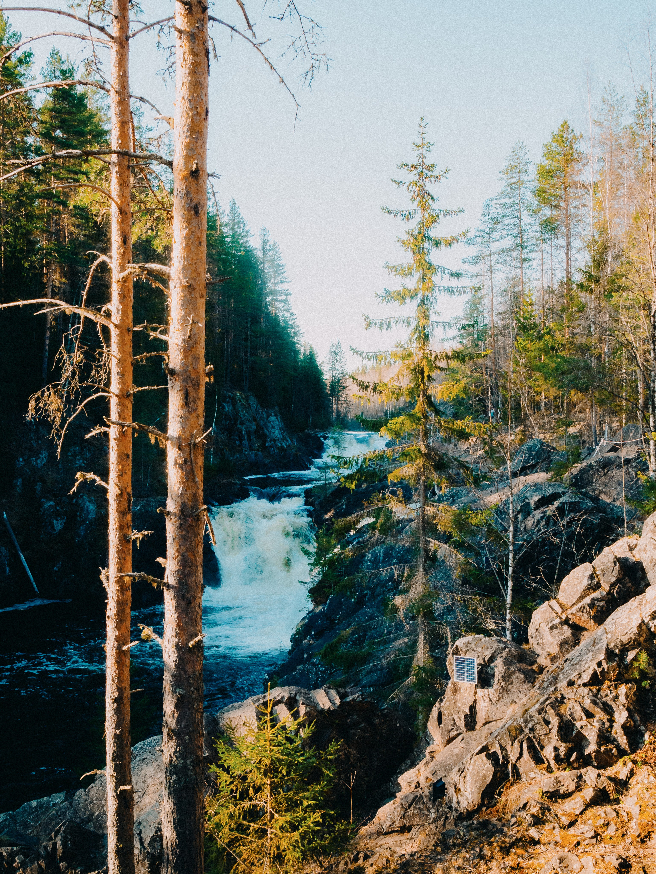 Карелия '23. Фёдор Малюгин. Ваш бади в визуале