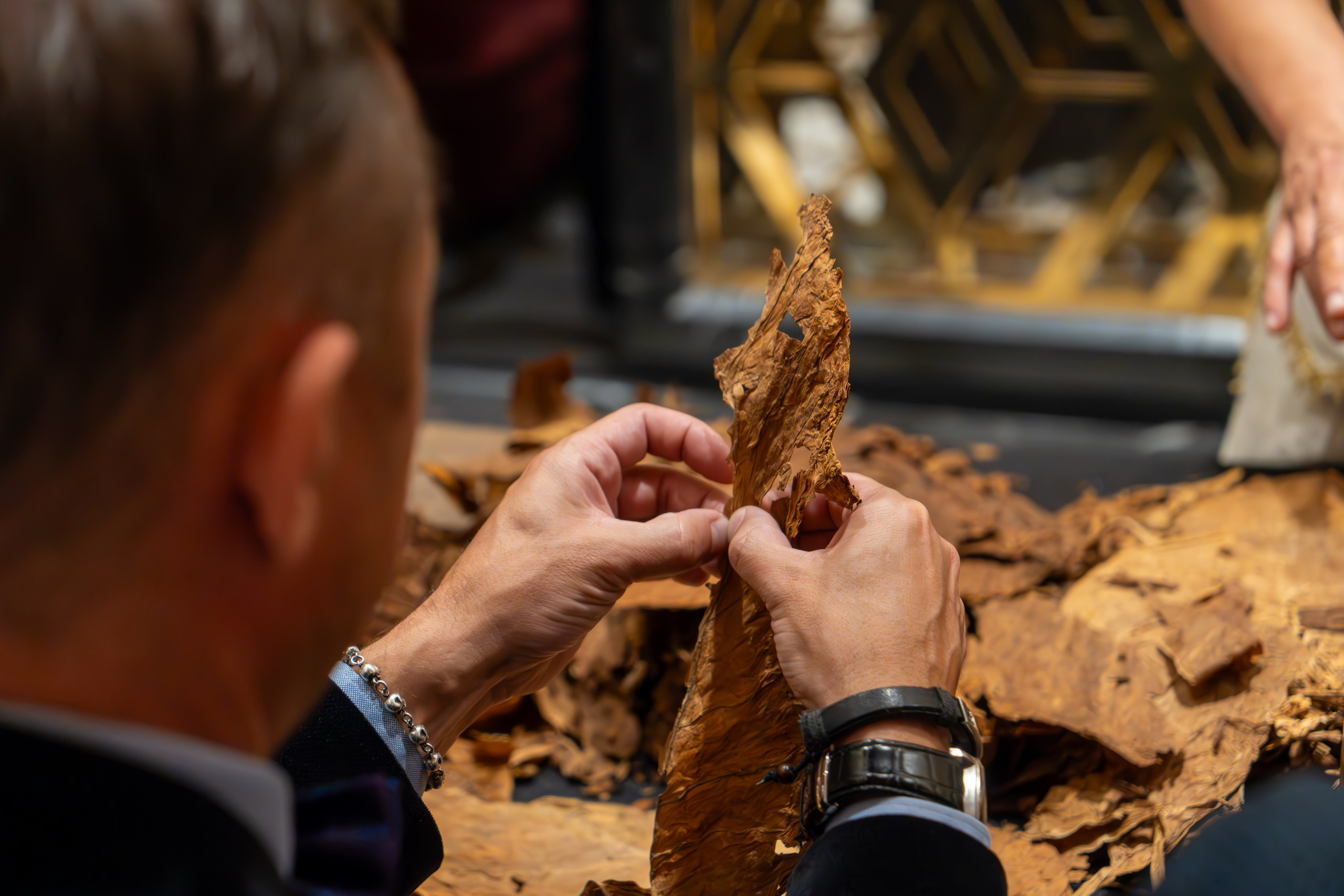 MICE мероприятие для компании «Базис». Репортажный фотограф в Красной Поляне и Сочи Павлюченко Екатерина