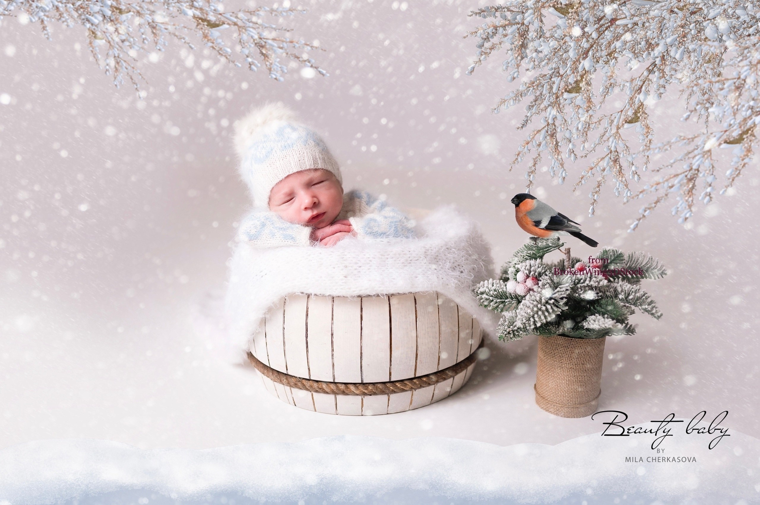 NEWBORN. Главная