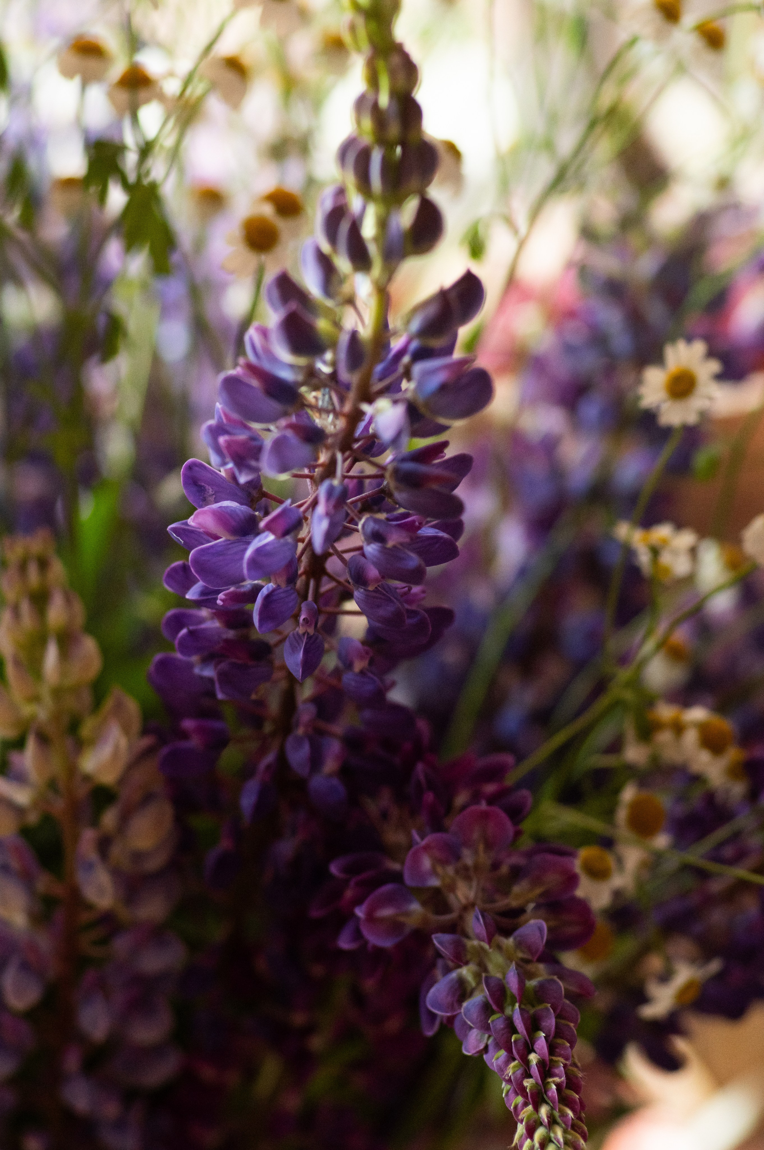Открытие женского пространства «ТЕЛО». Фотограф Светлана Воронцова