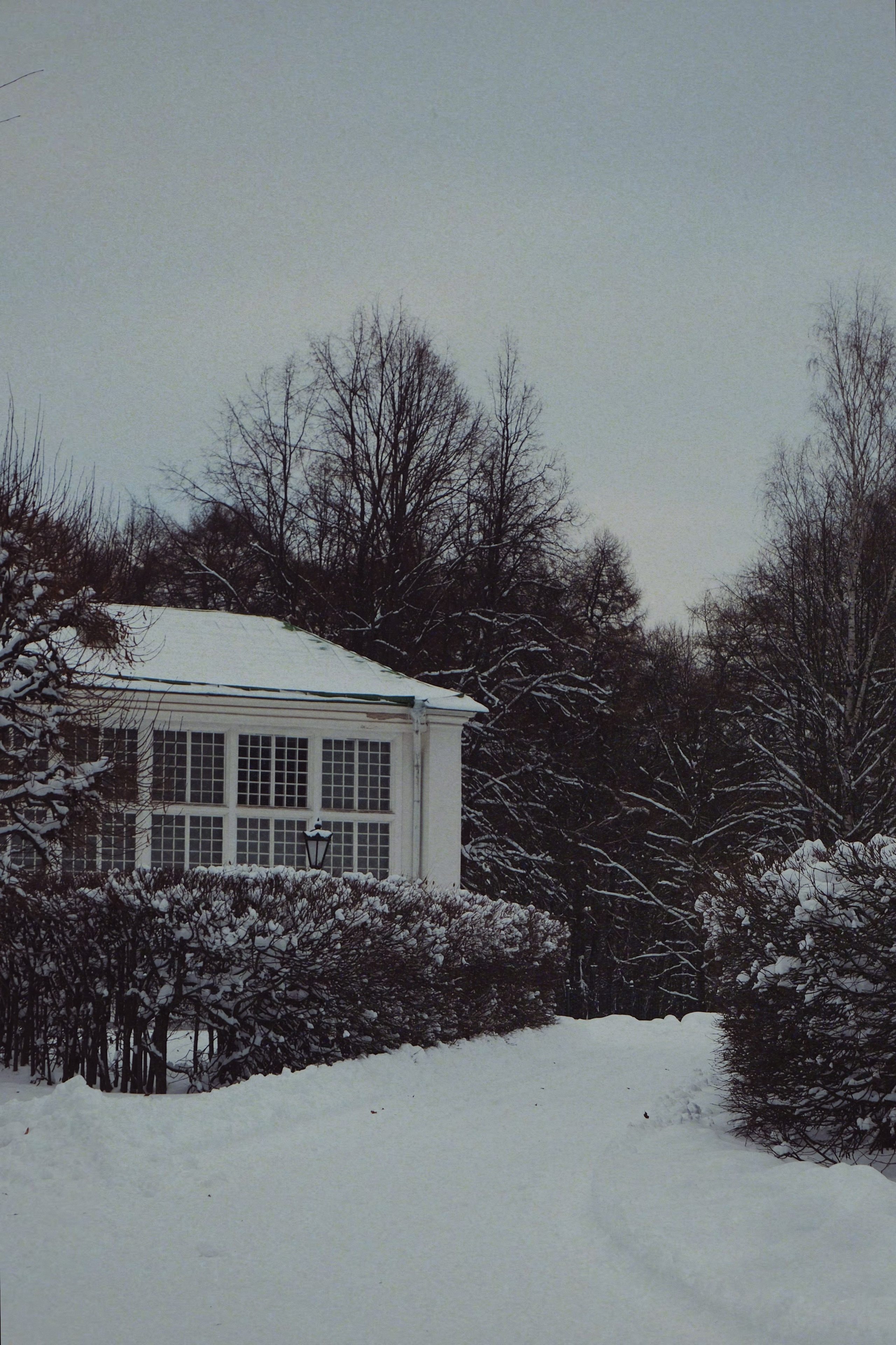 Музей-усадьба кусково. Татьян гертье