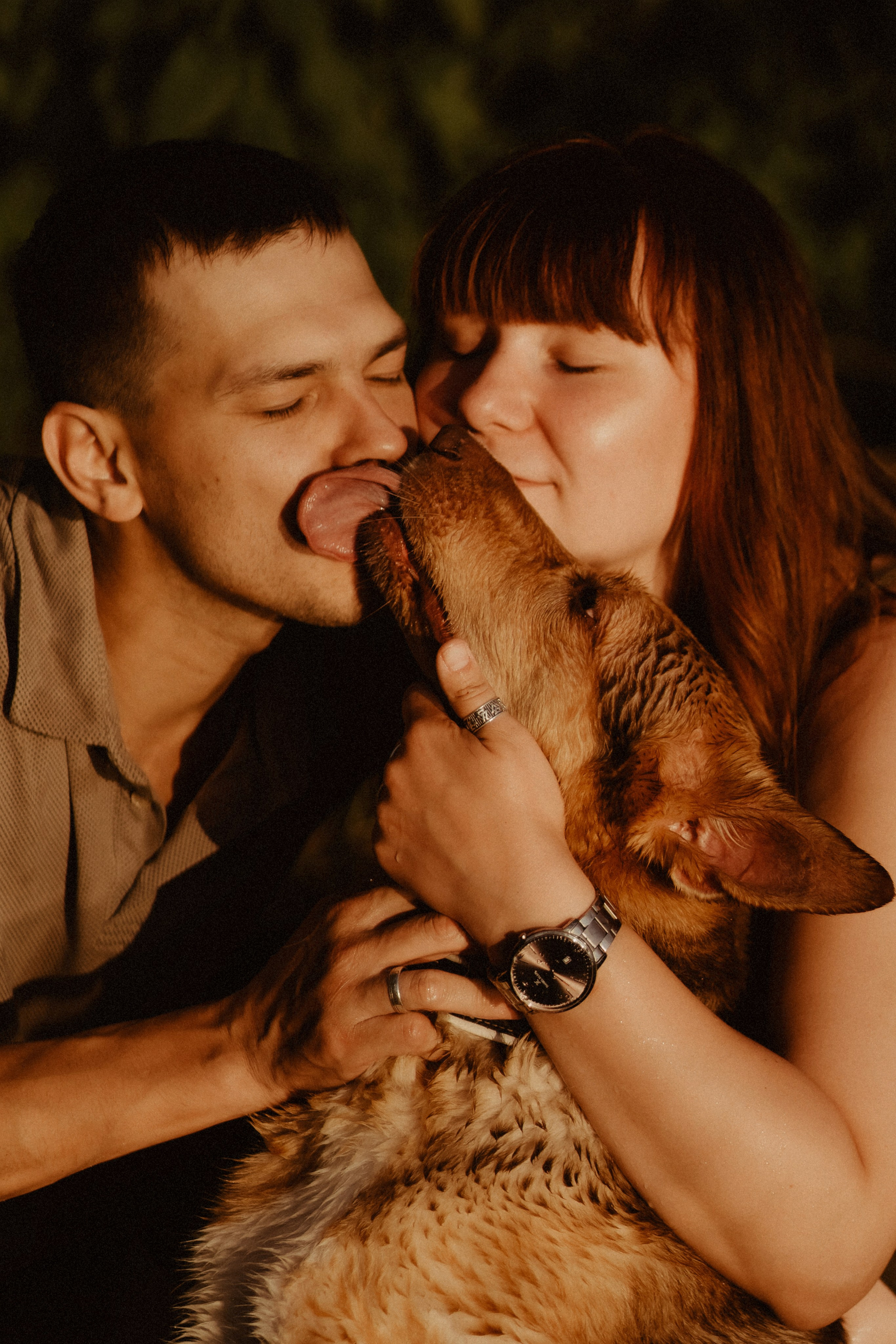 На странных берегах