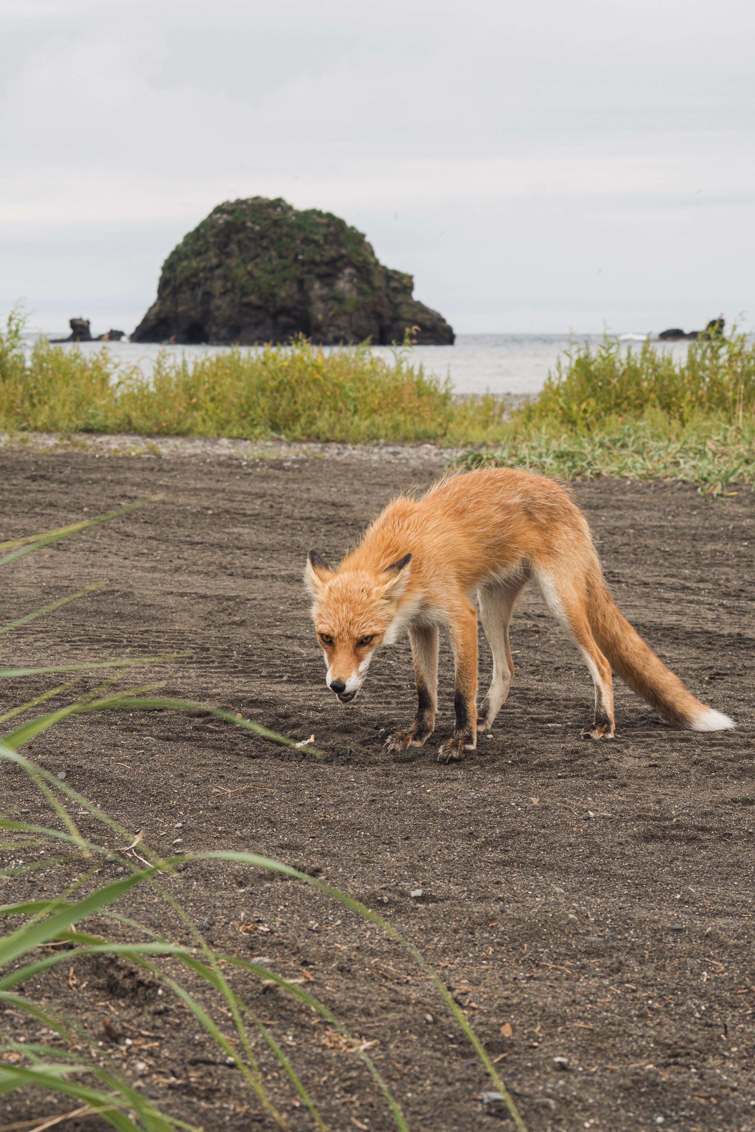 Курильские острова. Gusarov Travel Photography