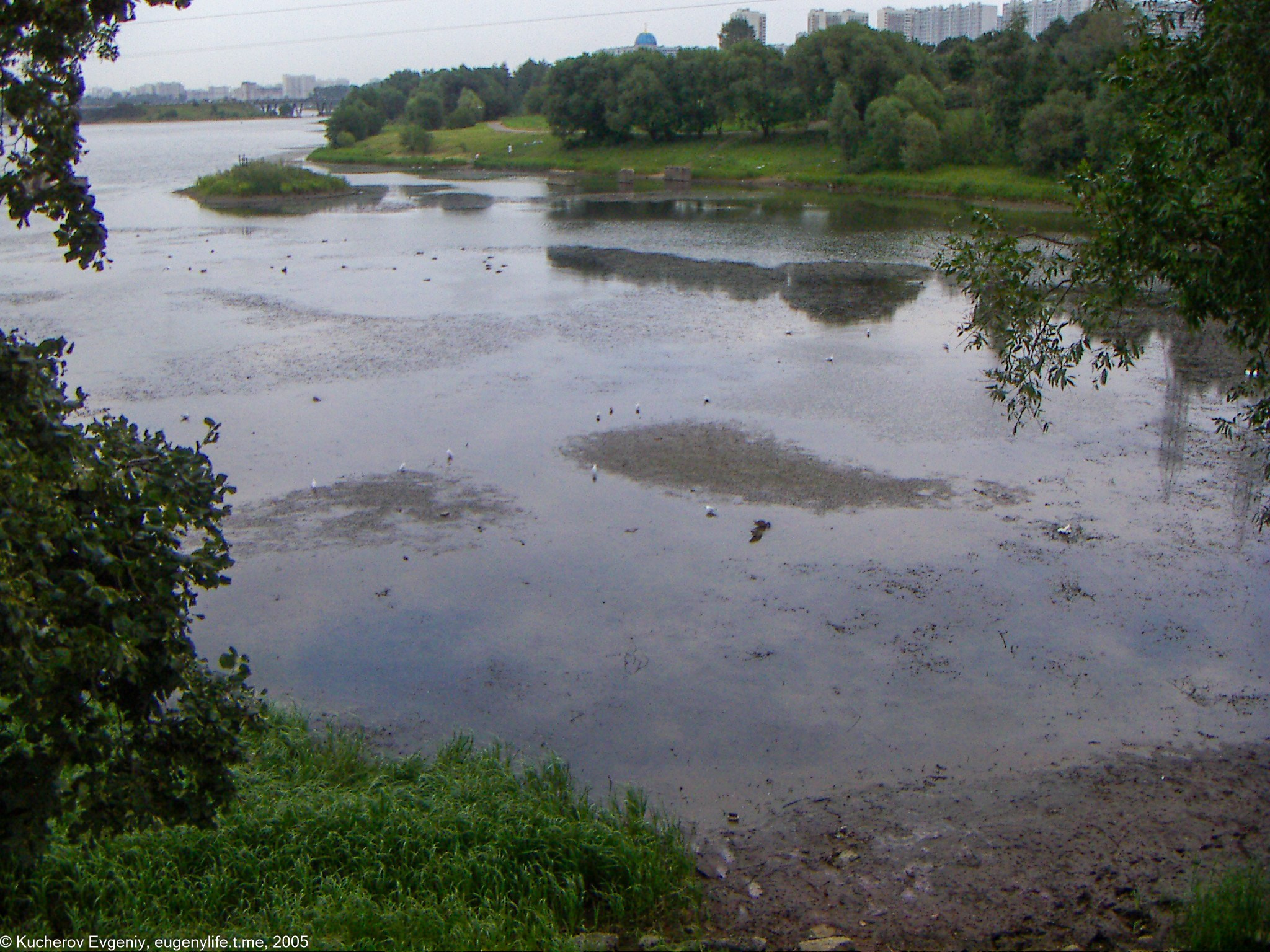 Август 2005. Царицыно. Кучеров Евгений. Фотограф