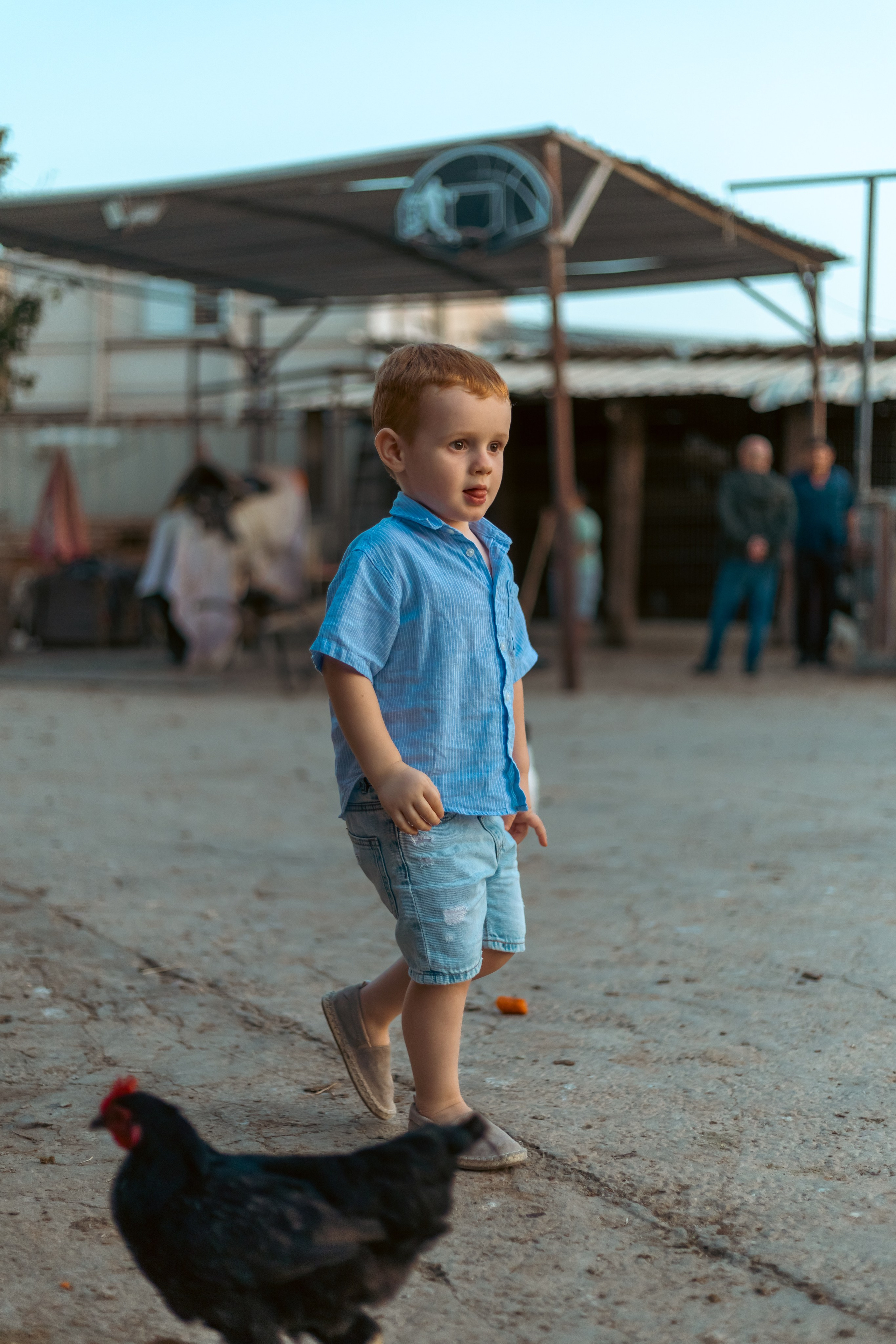 Анна и Амир. Семейный фотограф Израиль