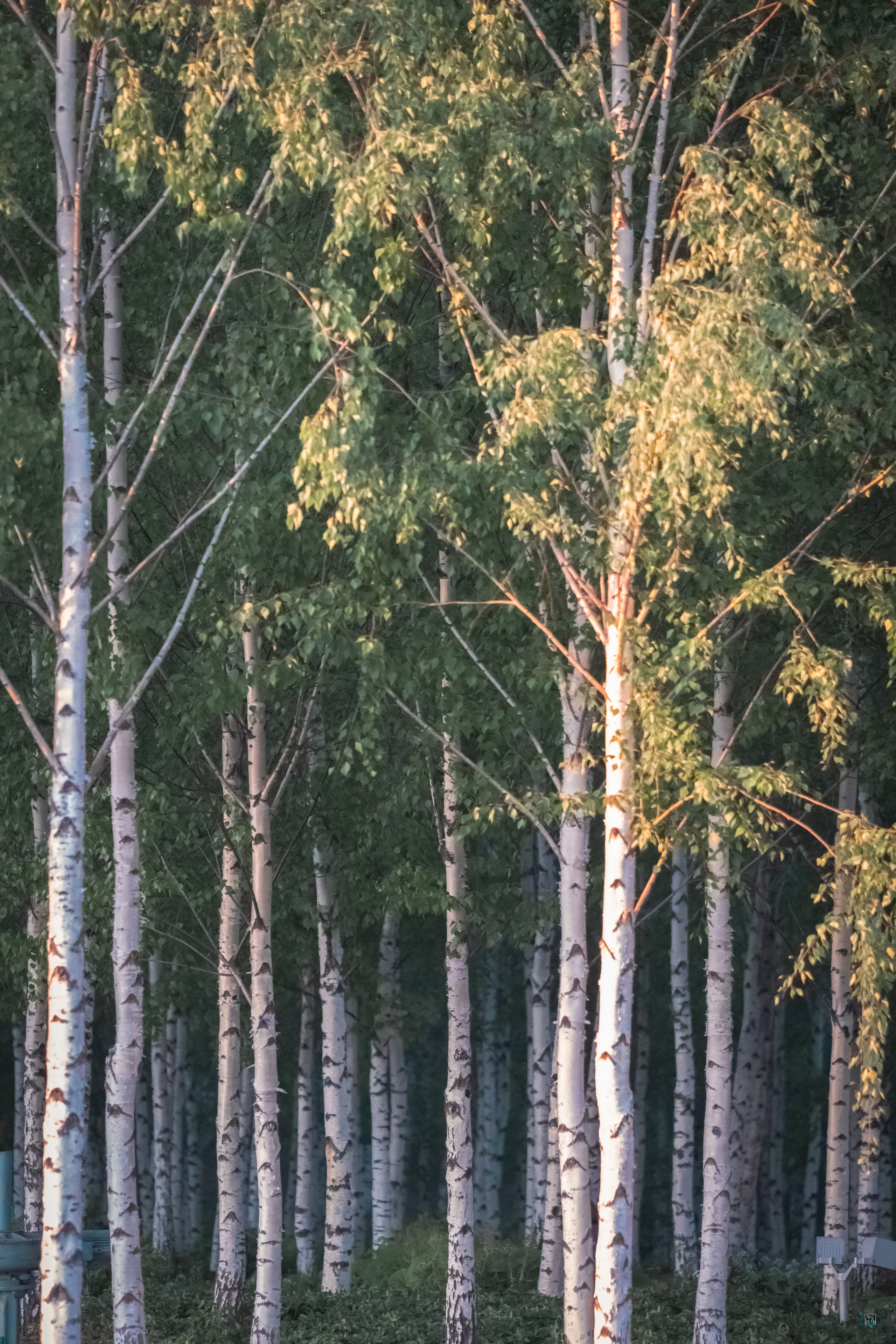 Moscow Selection. M. Neizvestniy — уличная и спортивная фотография