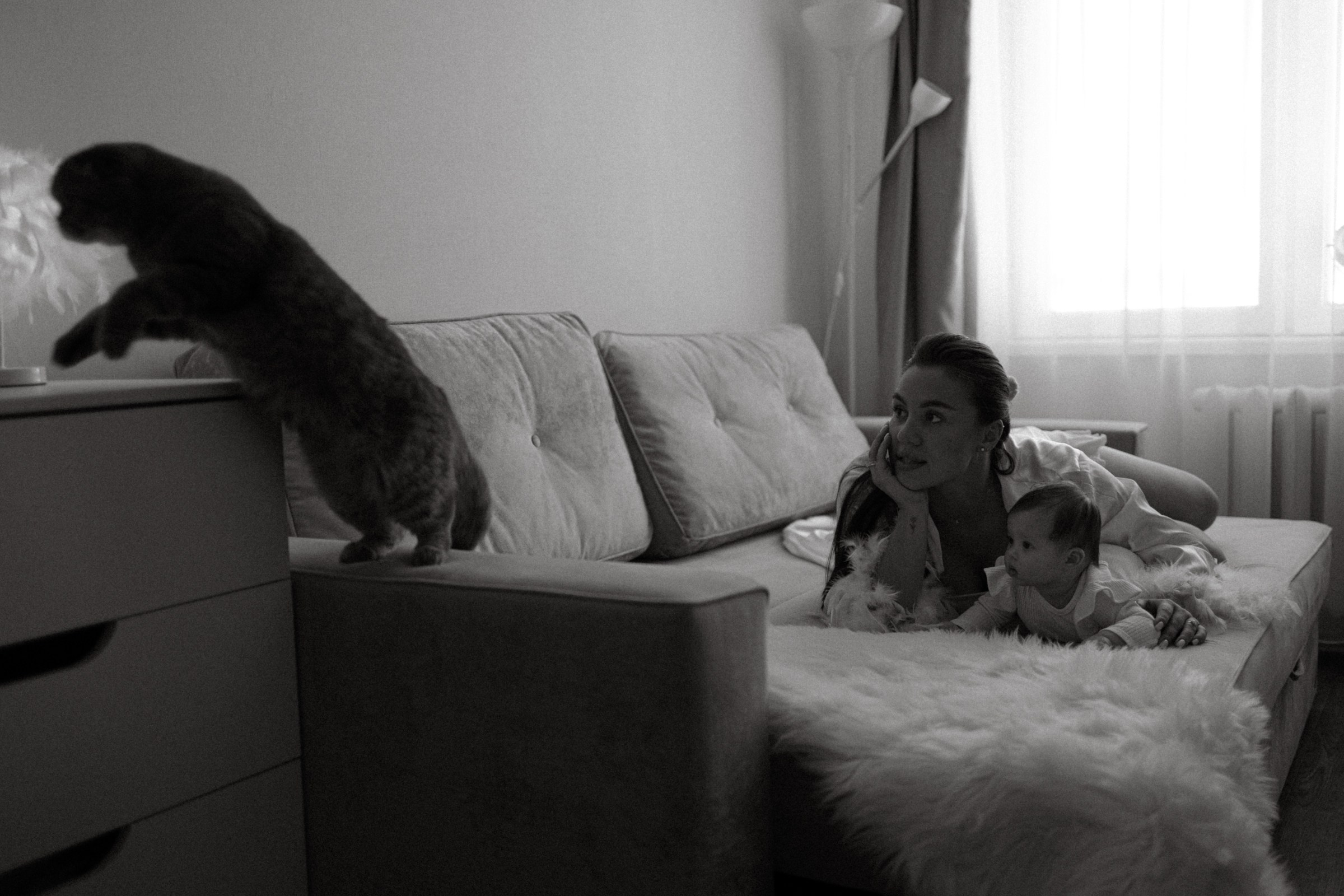 Усатый нянь. Фотограф Daria Wilner