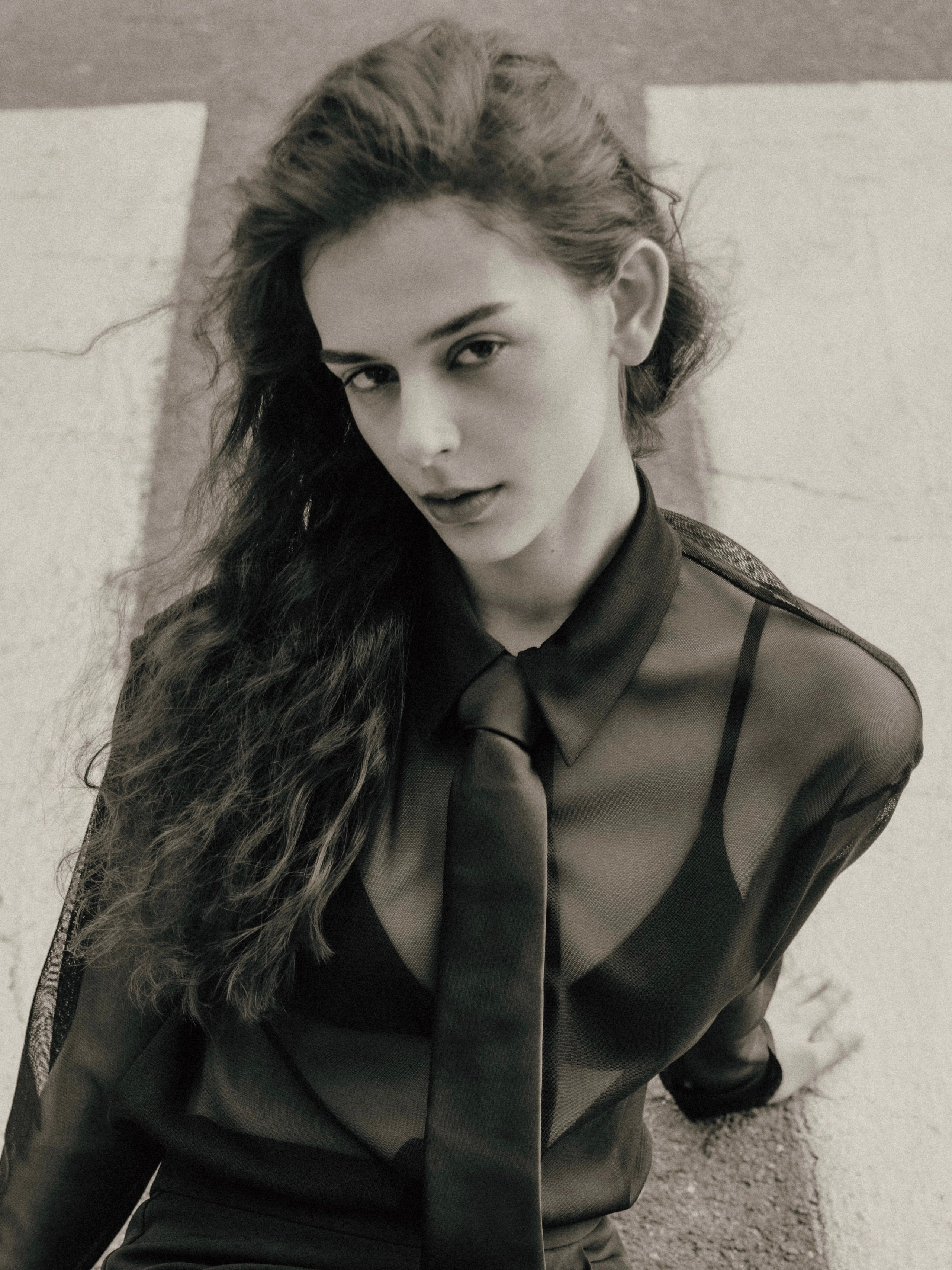 Roya. Axis model management