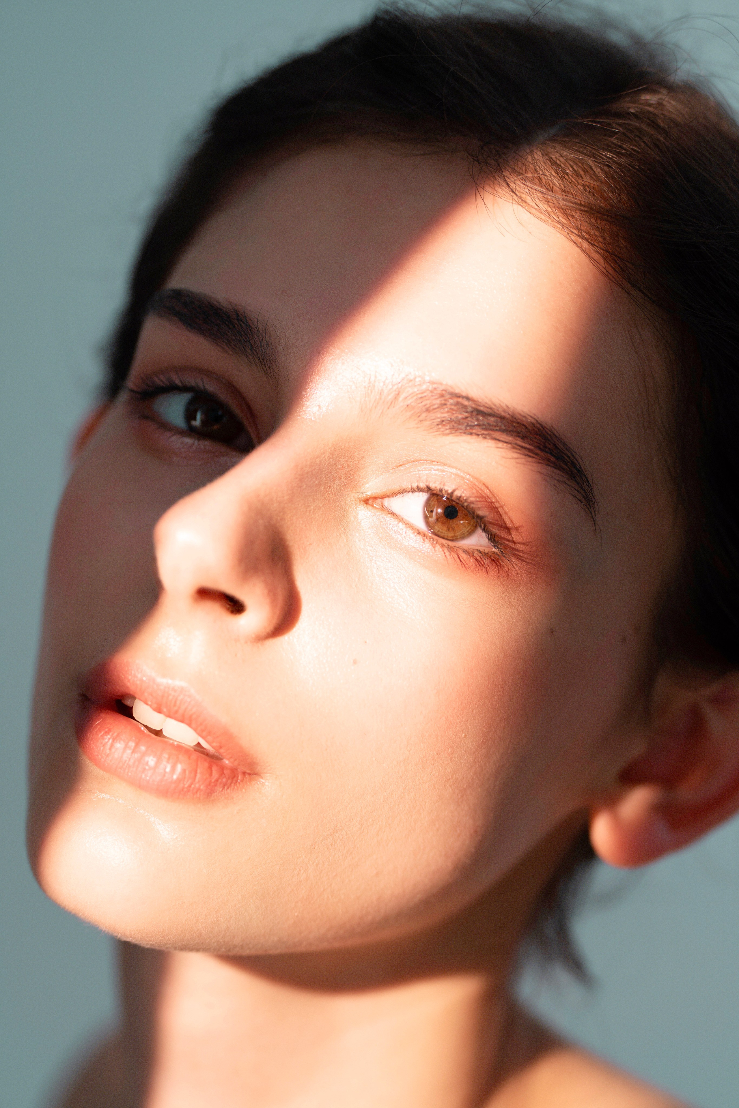 Roya. Axis model management
