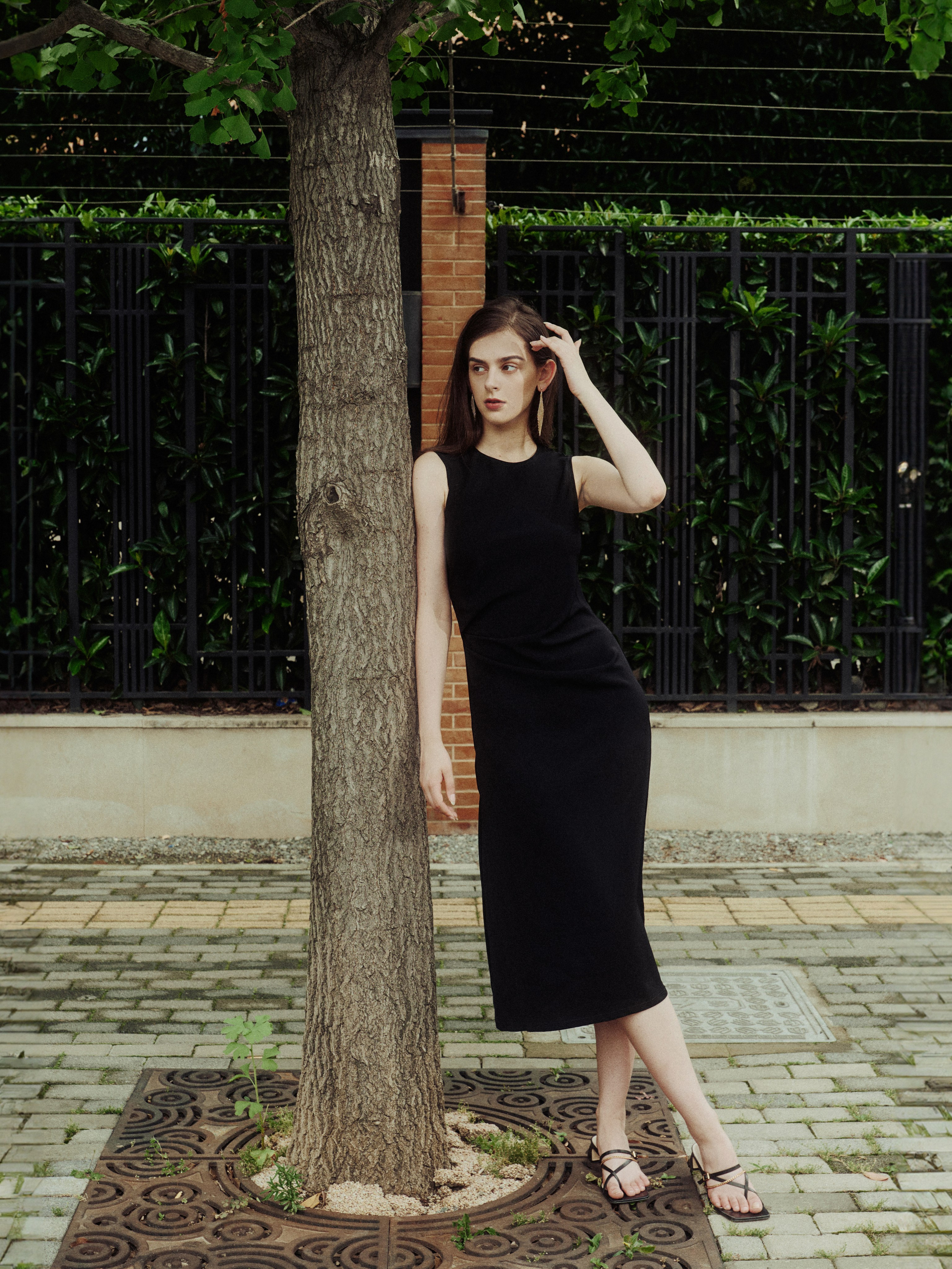 Roya. Axis model management