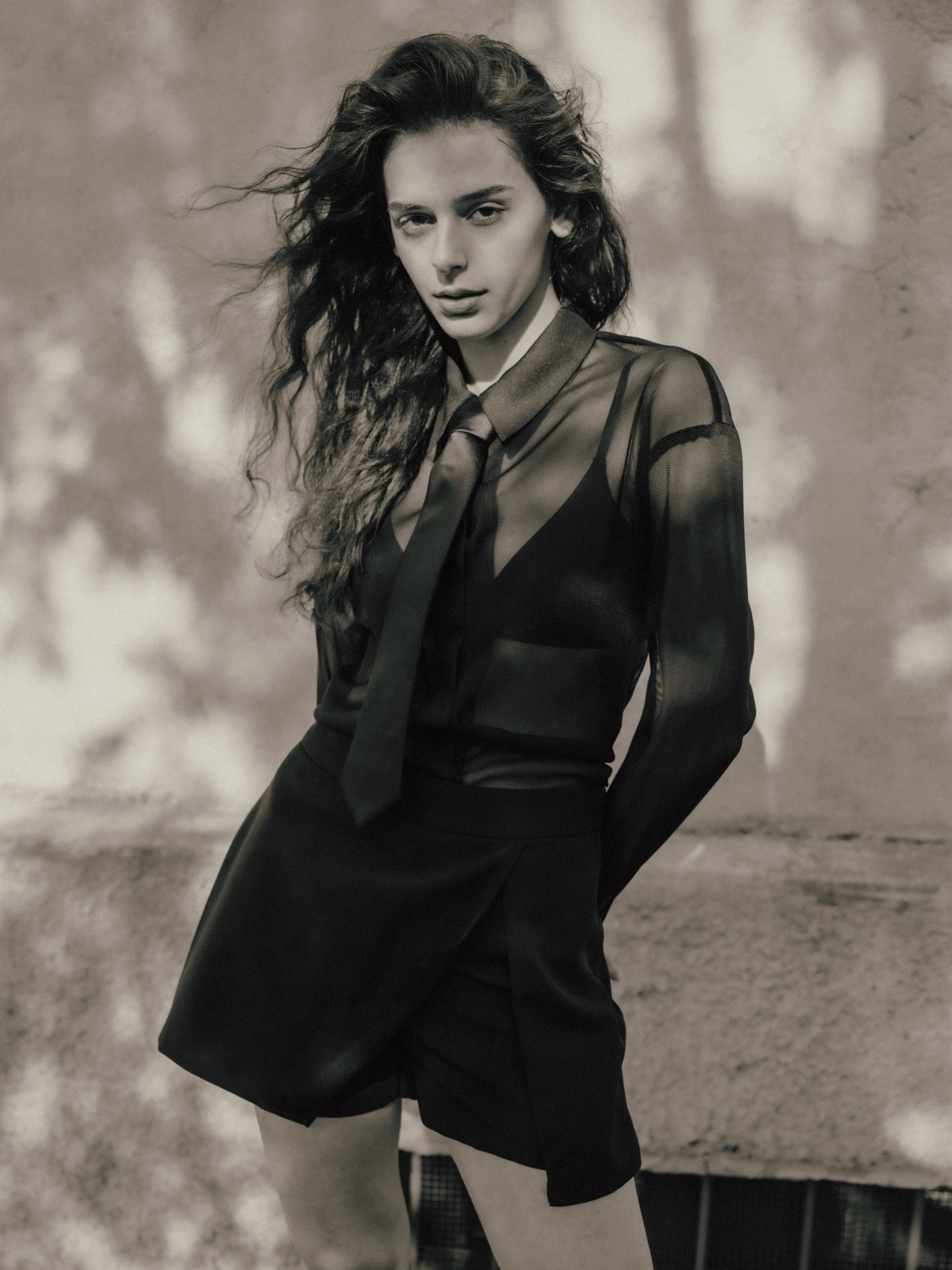 Roya. Axis model management