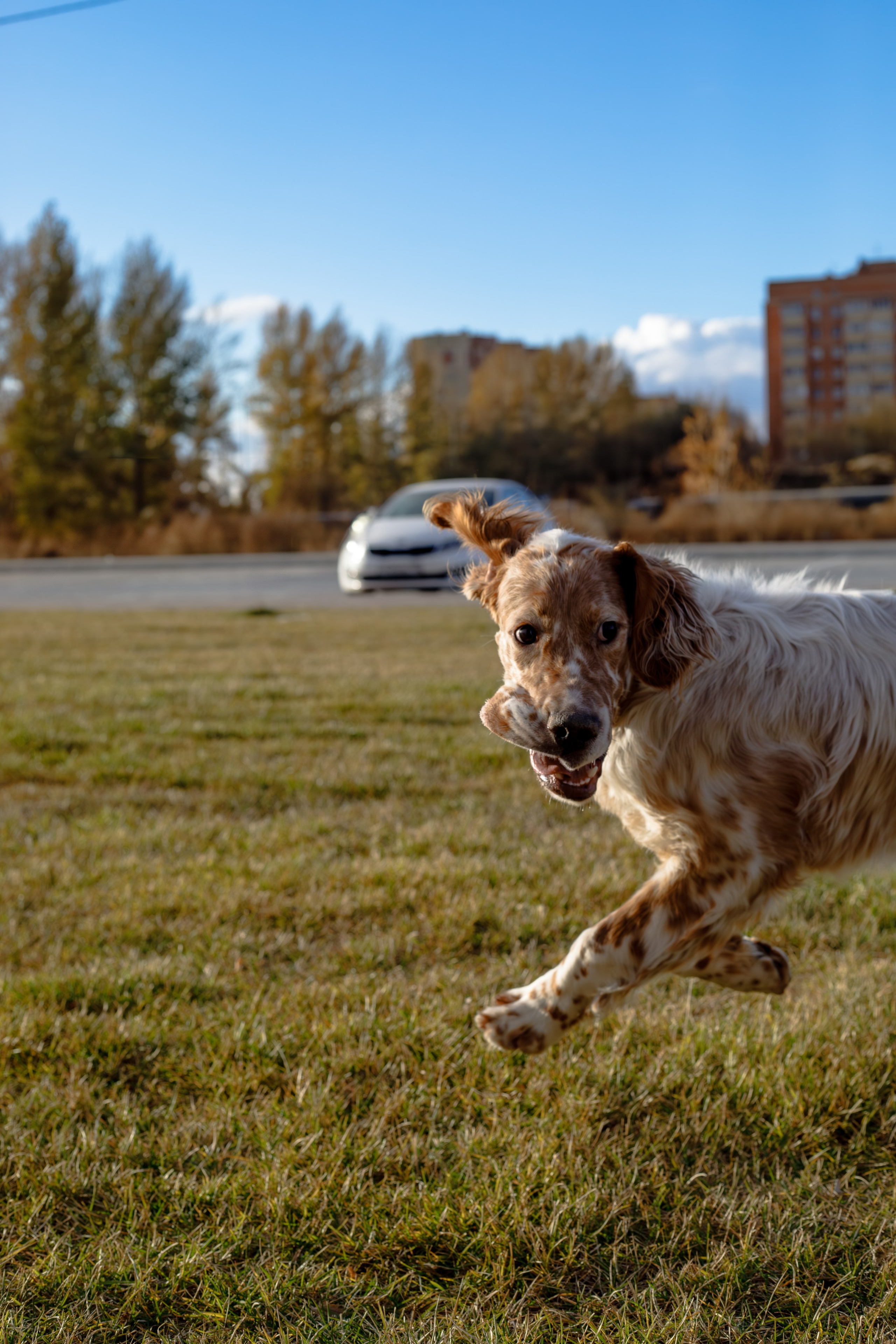 Андрей и Милан. Фотограф Екатерина Козловская