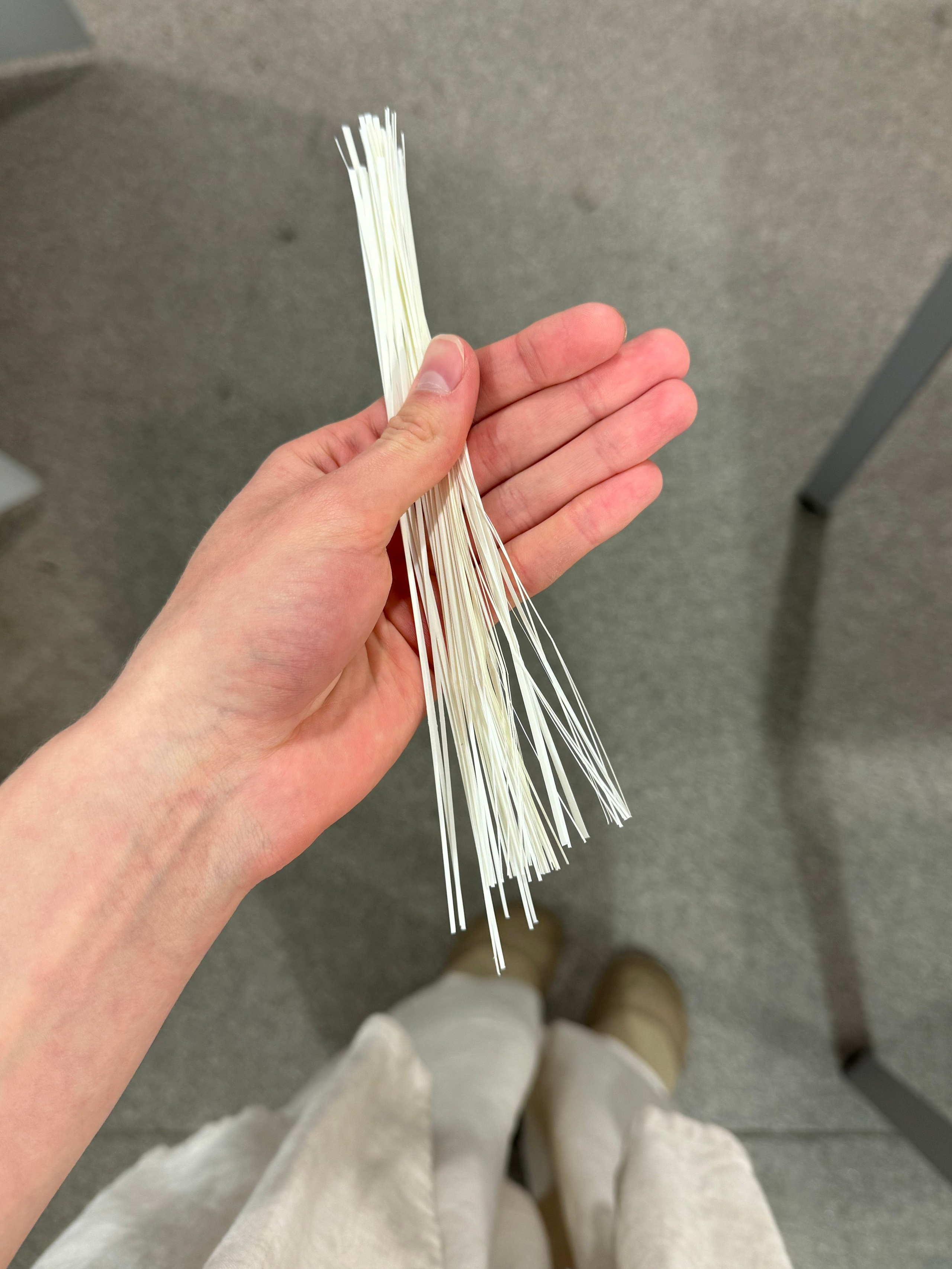 Липкий пол [книга]. Аня белка — художница и фотограф