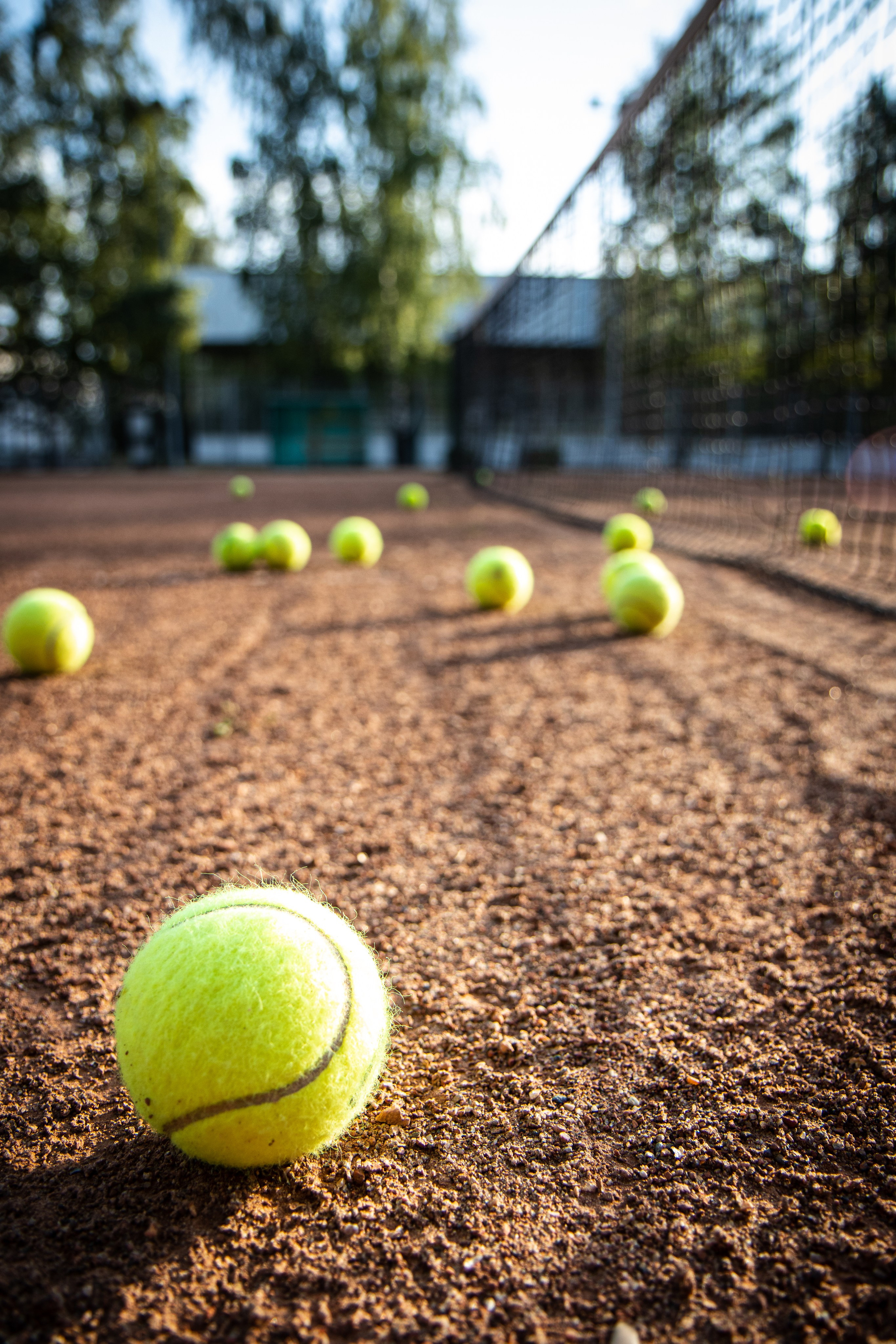 Тренер чемпионов. Главная