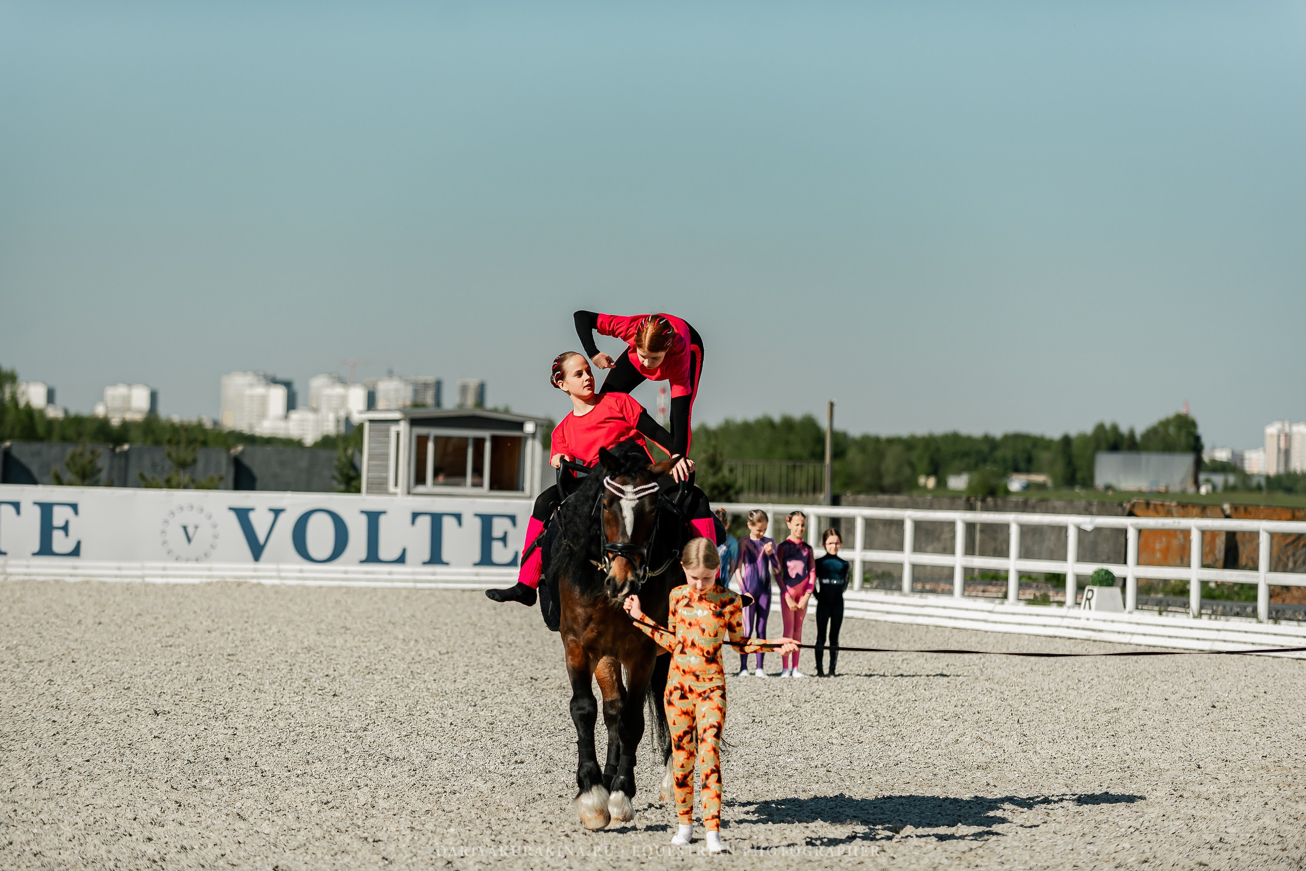 РЕПОРТАЖ МКК ВОЛЬТ «LA TULIPS». Конный фотограф Куракина Дарья • Фотосессии с лошадьми
