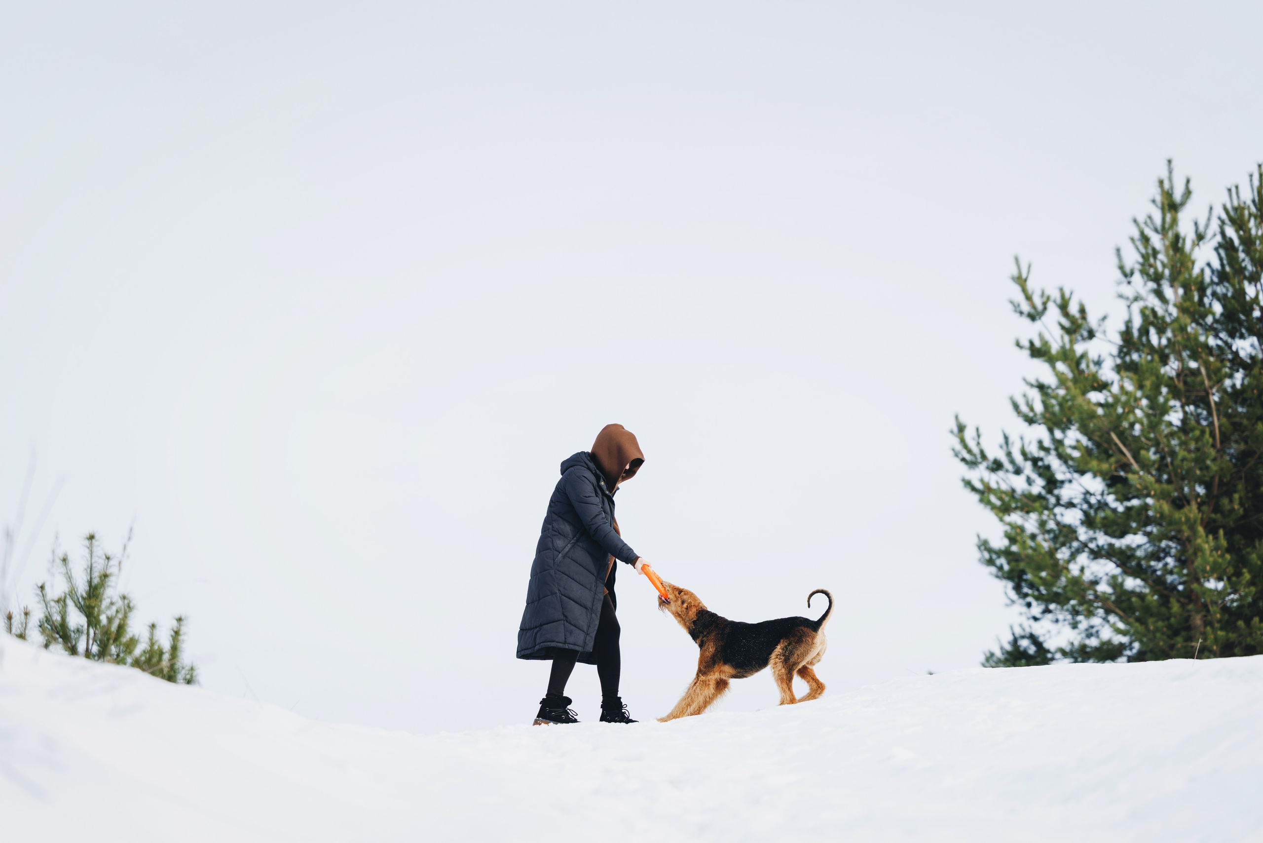 Оля и Хард. Фотограф анималист Осипчикова Мария