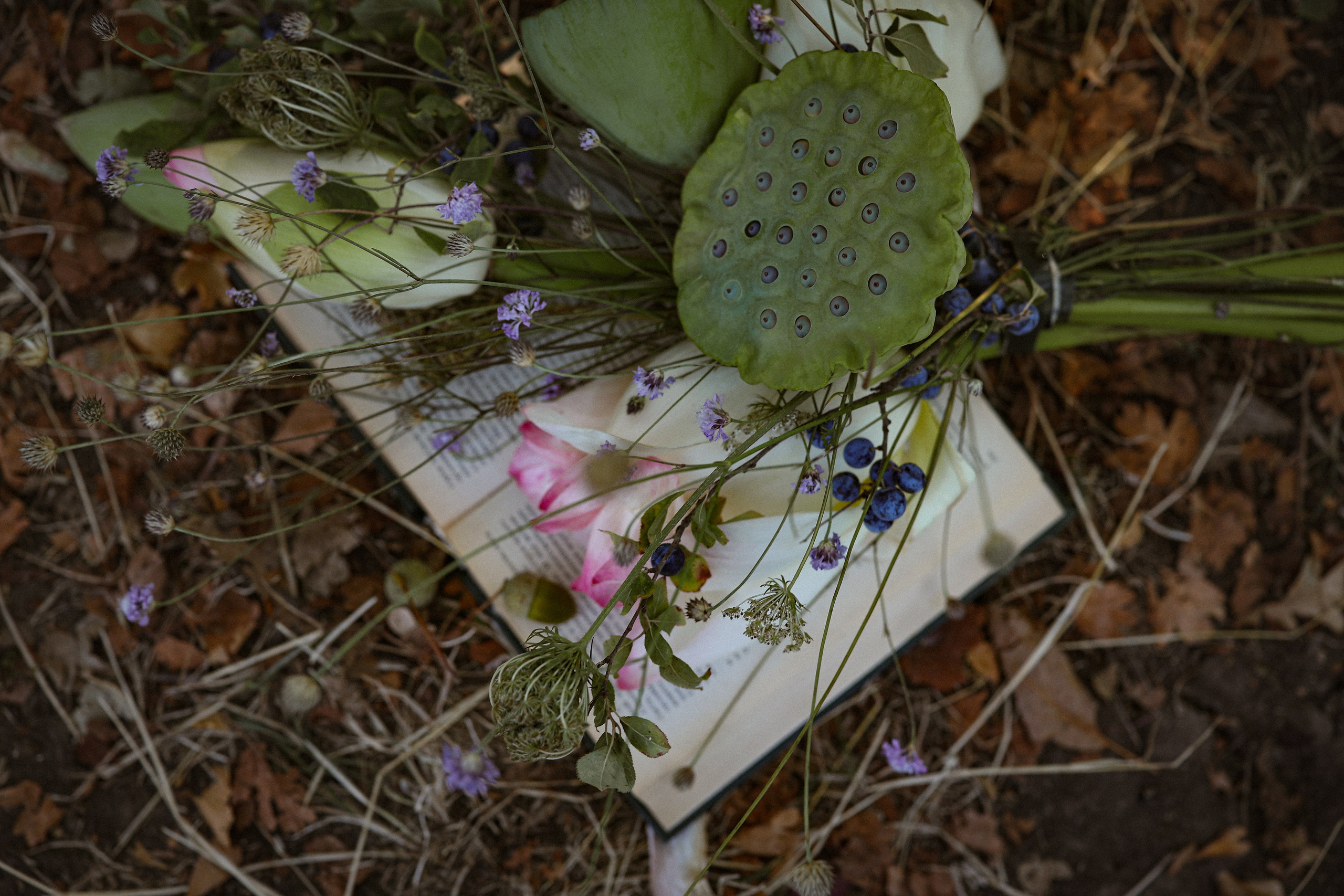 Офелия. Свадебный и семейный фотограф в Абхазии Жанна Соснина
