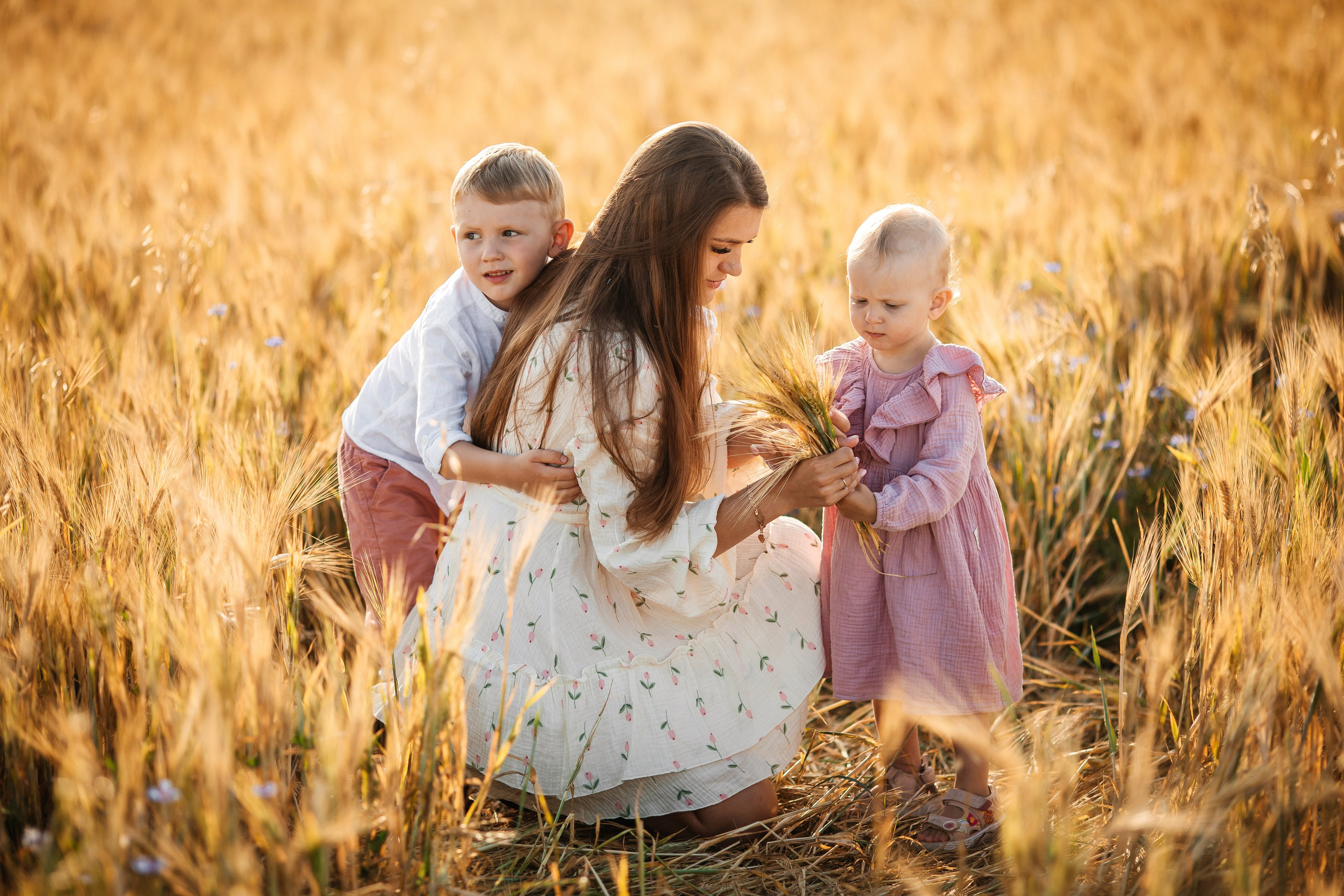 Семья в пшенице. Olga.filippova.photo