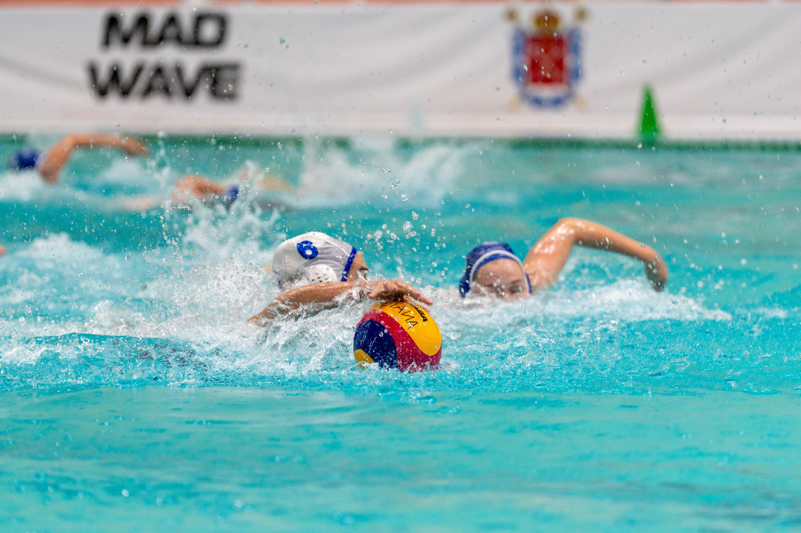 Репортажный фотограф снимает матч водного поло в Санкт-Петербурге