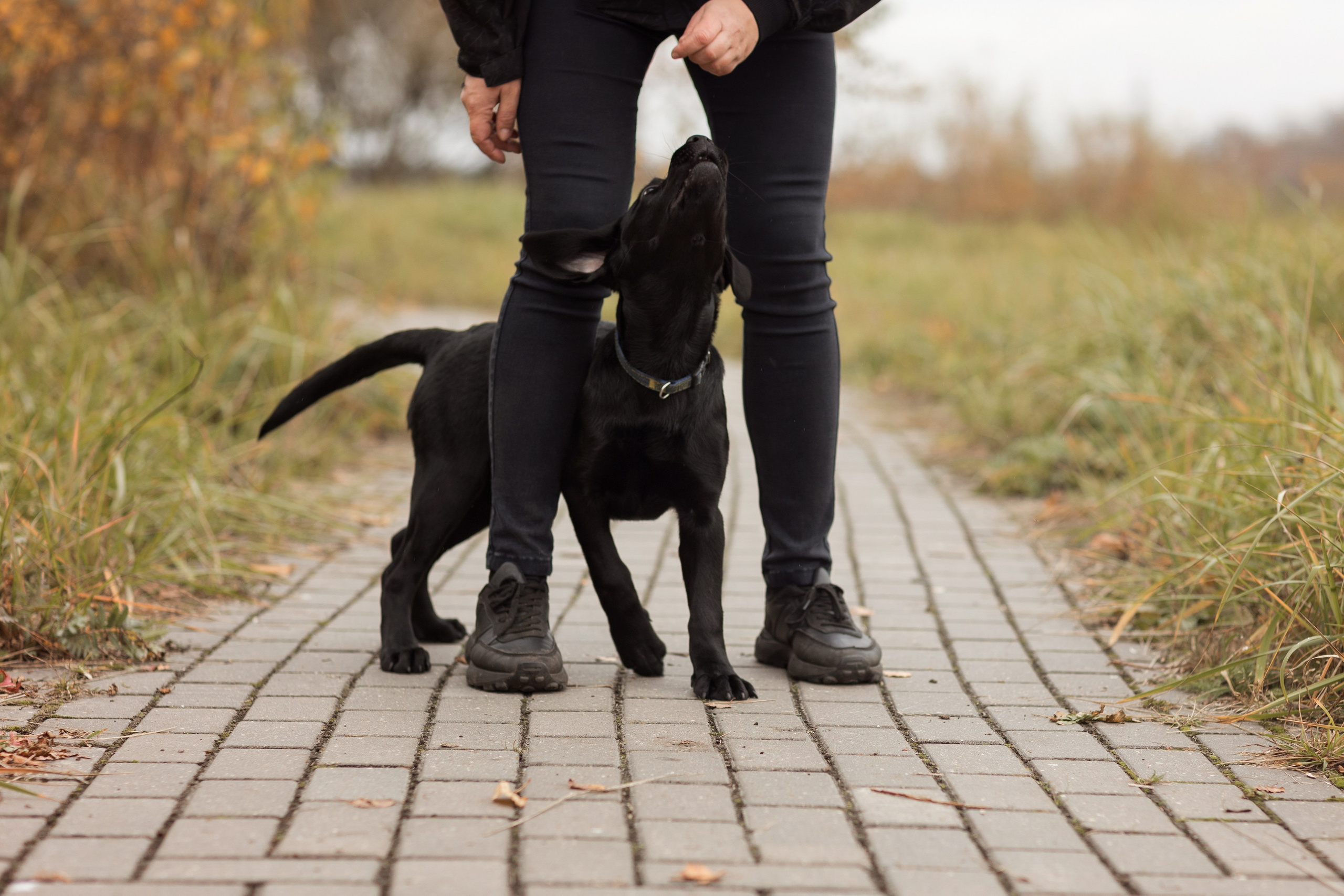 Анастасия и маленькая Юна. Фотограф — Анималист Наталья Тямушева