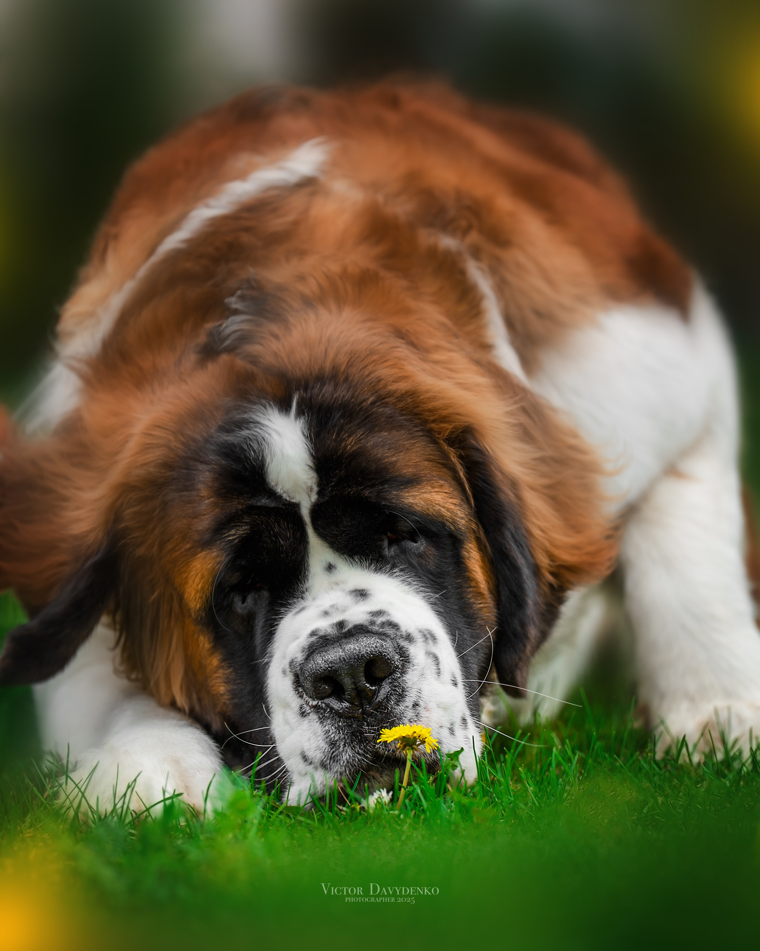 Давыденко Анна / Фотограф Краснодар/Сочи