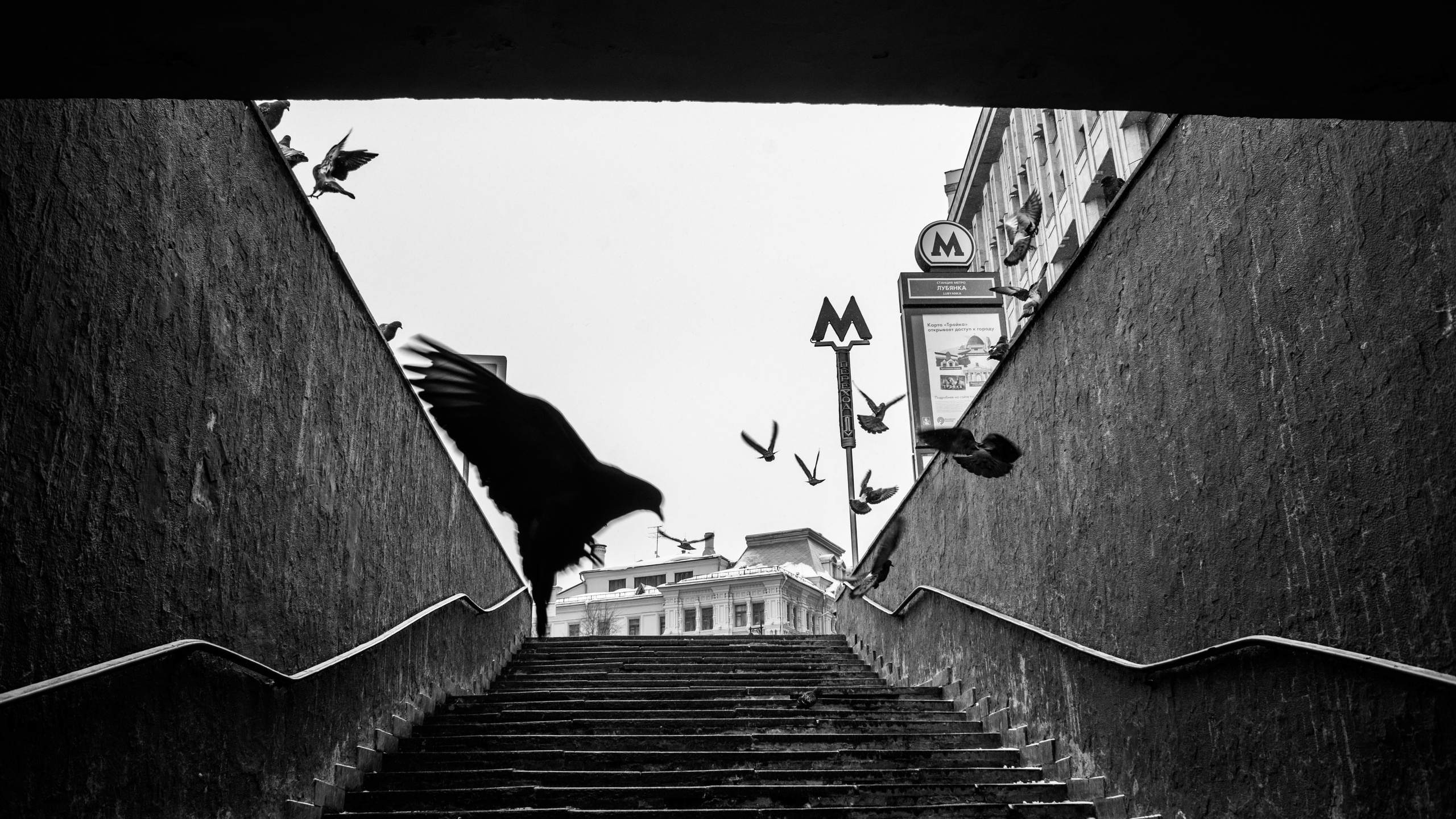 Автор: Гагик Егиазарян