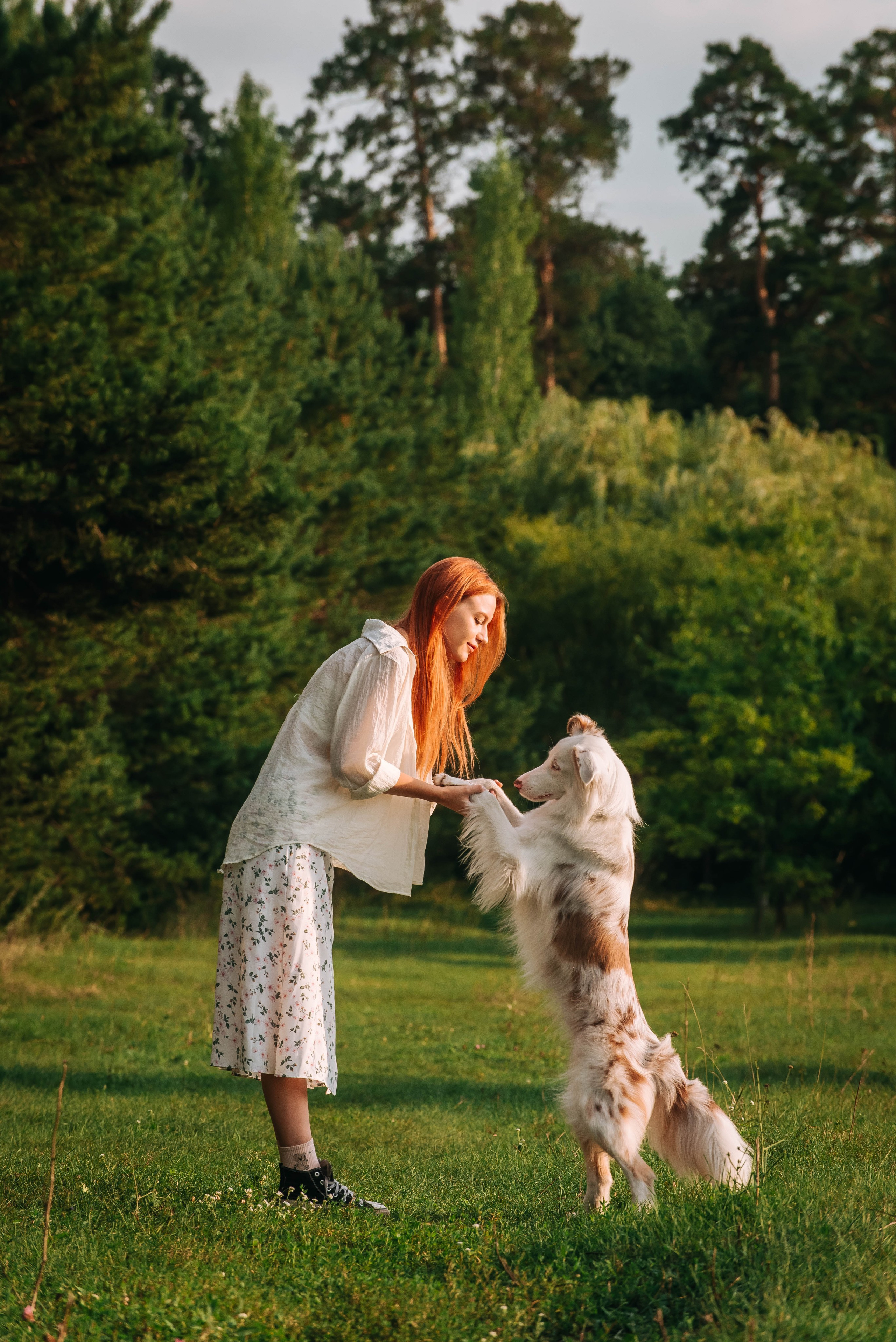 Лиза и Айви. Главная