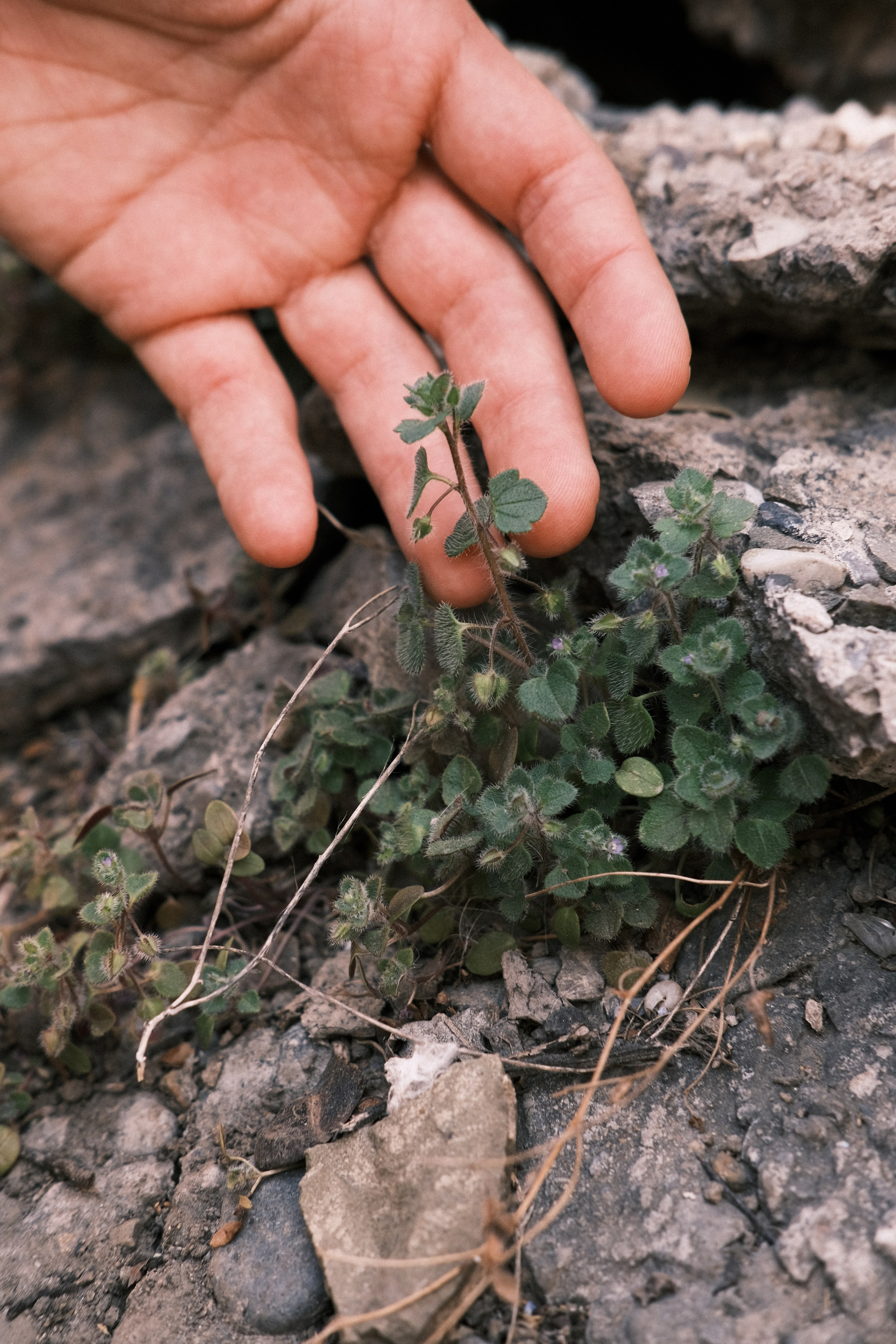Городская и домашняя съемка в Тбилиси/ Алина и Гриша/ Или фотоблог из спального района. Photographer Tbilisi