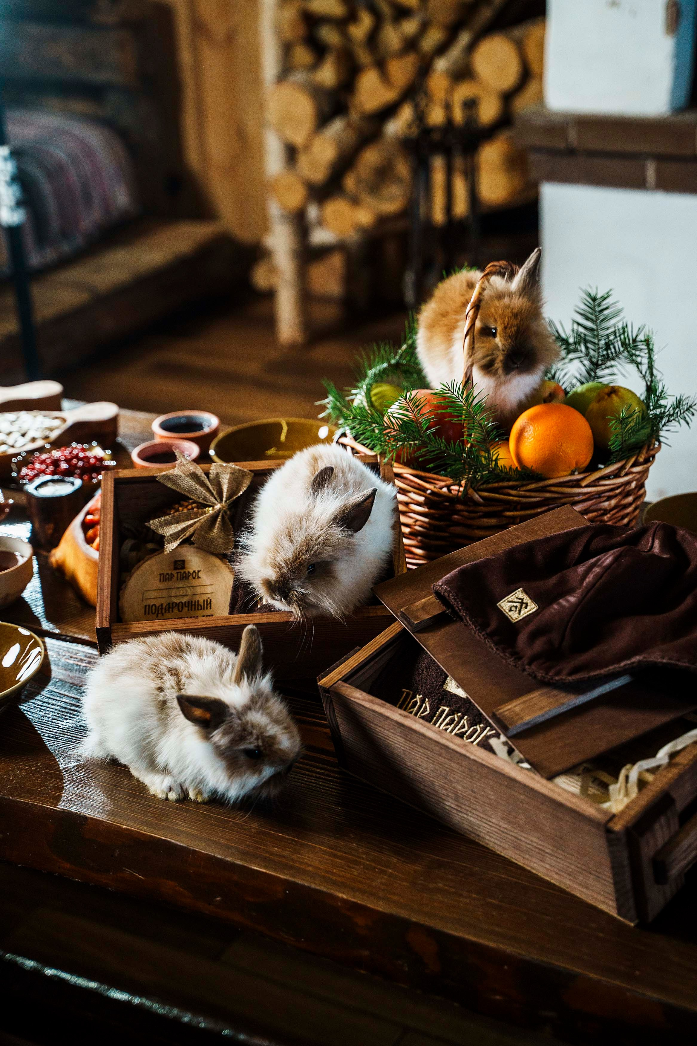 Банный комплекс «Пар-Парок». Фотограф Казань