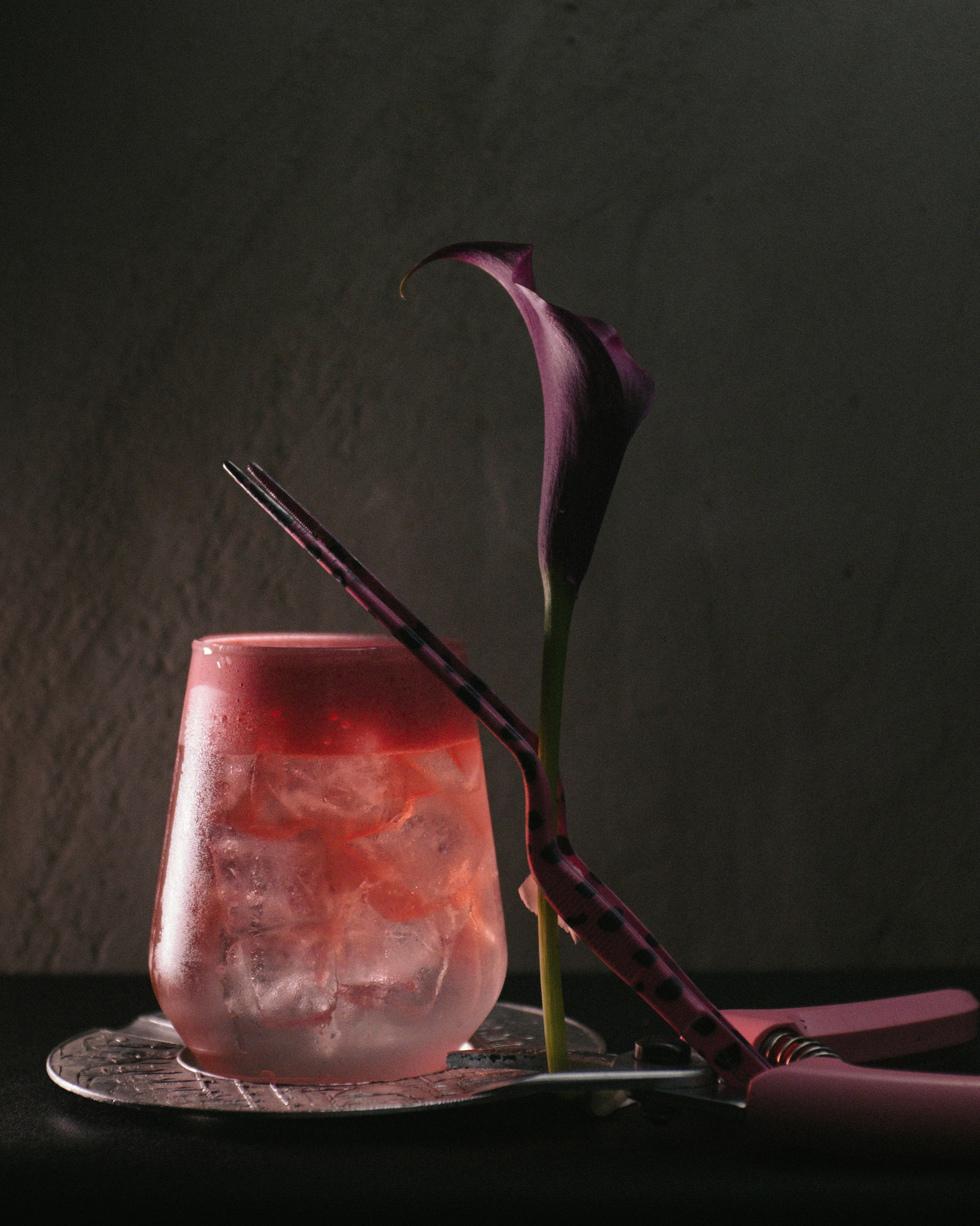 Doom of bloom x february bar. Портретный фотограф Алиса Санкт-Петербург