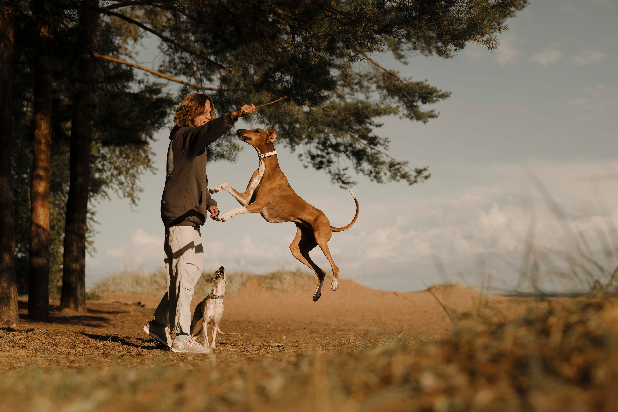 Заказать съемку. Фотограф- анималист Александра Матвеева