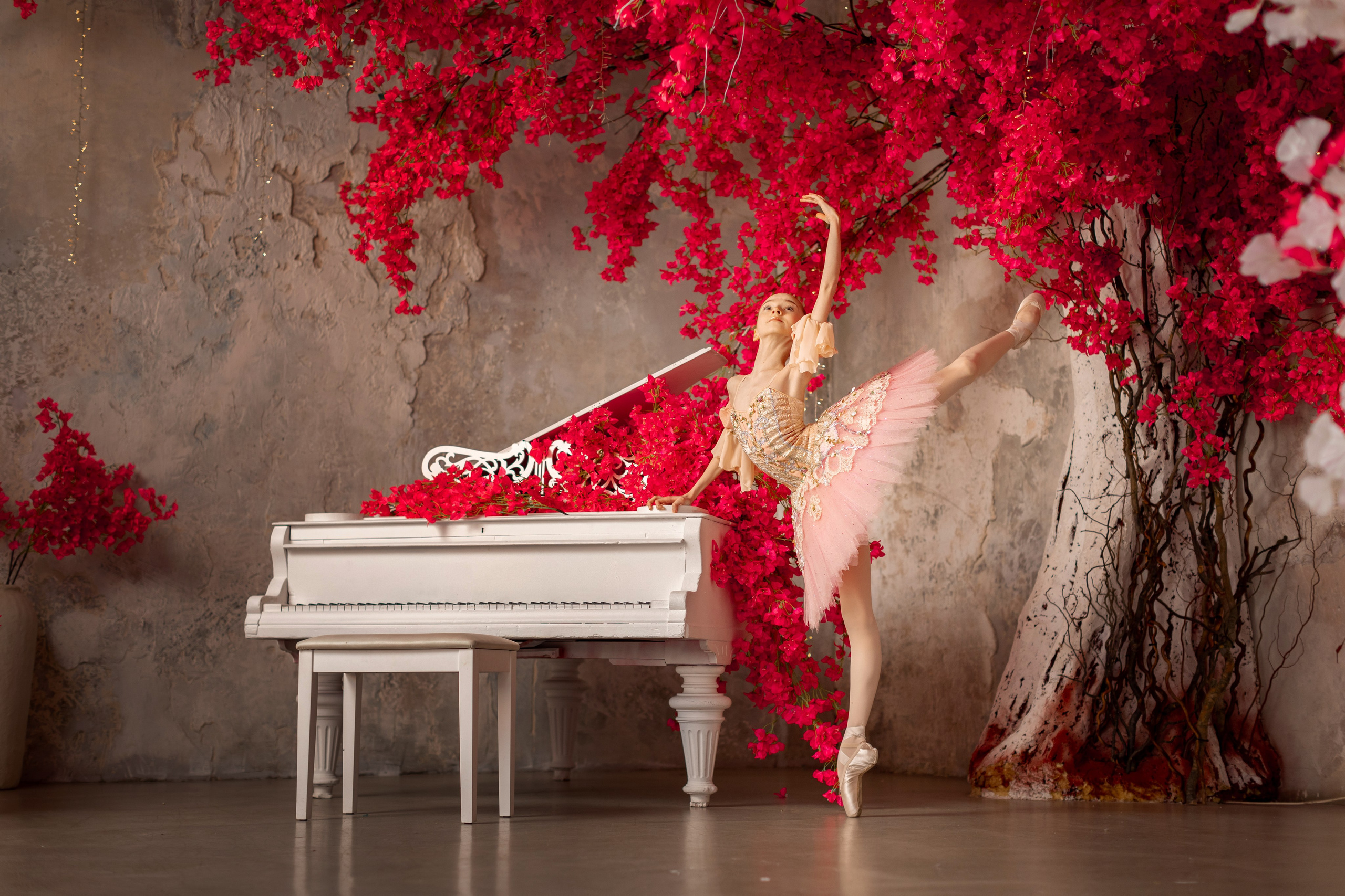 Балетная съёмка в интерьере. Балетный фотограф Алина Ханько — Душа Балета