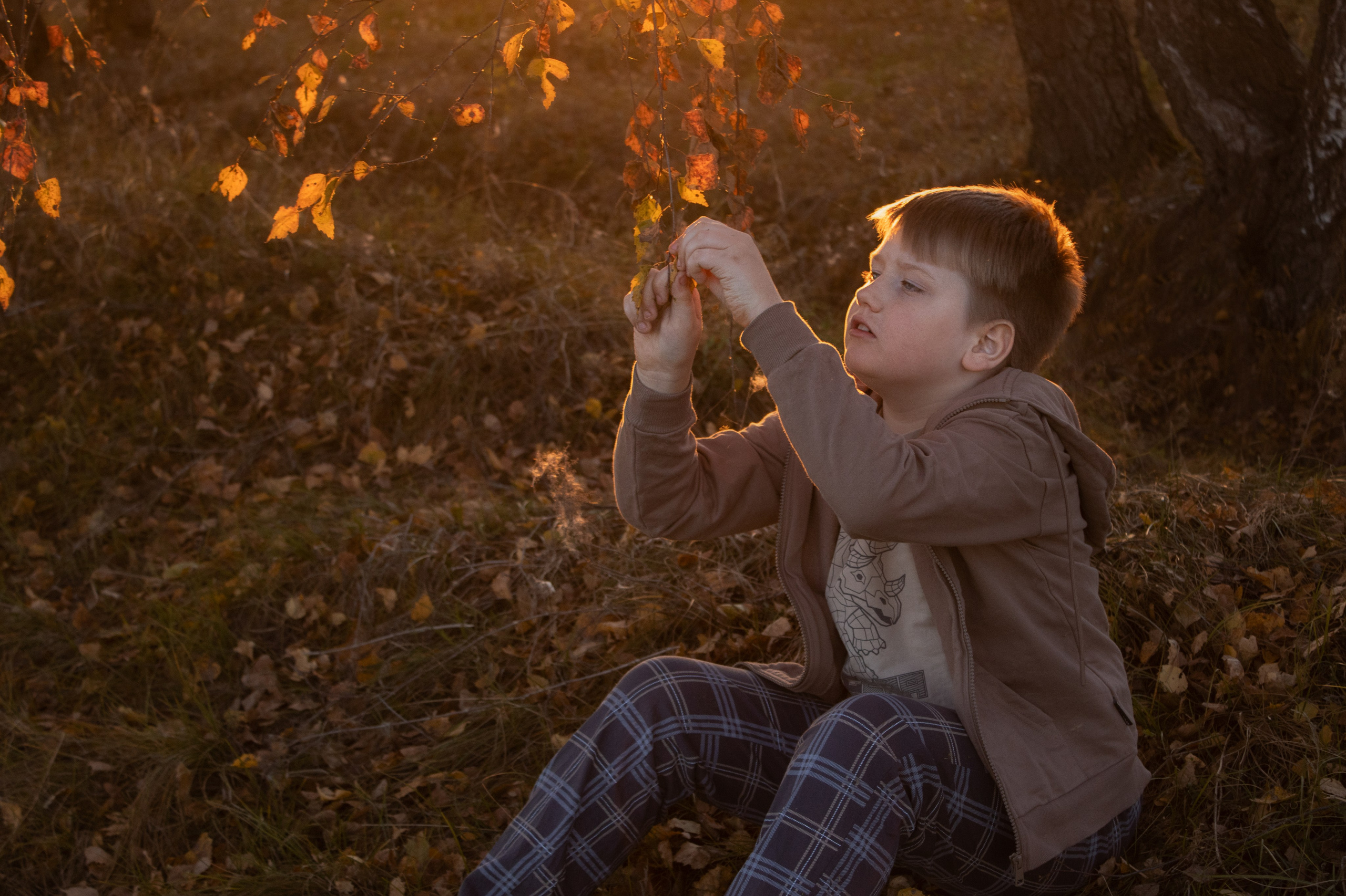 Портфолио. Семейная фотосессия в Новосибирске