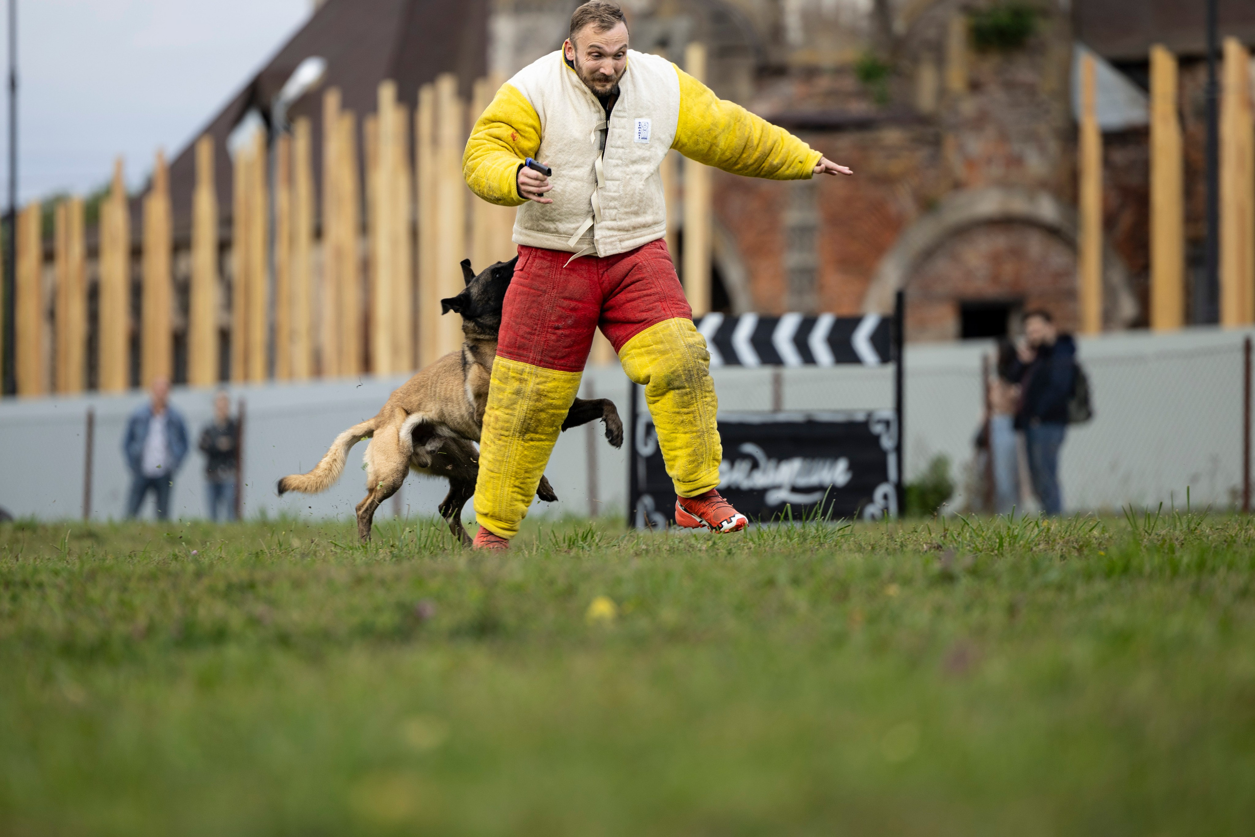 Испытания по Мондьорингу г. Пушкин. Фотограф-анималист Анна Маринич