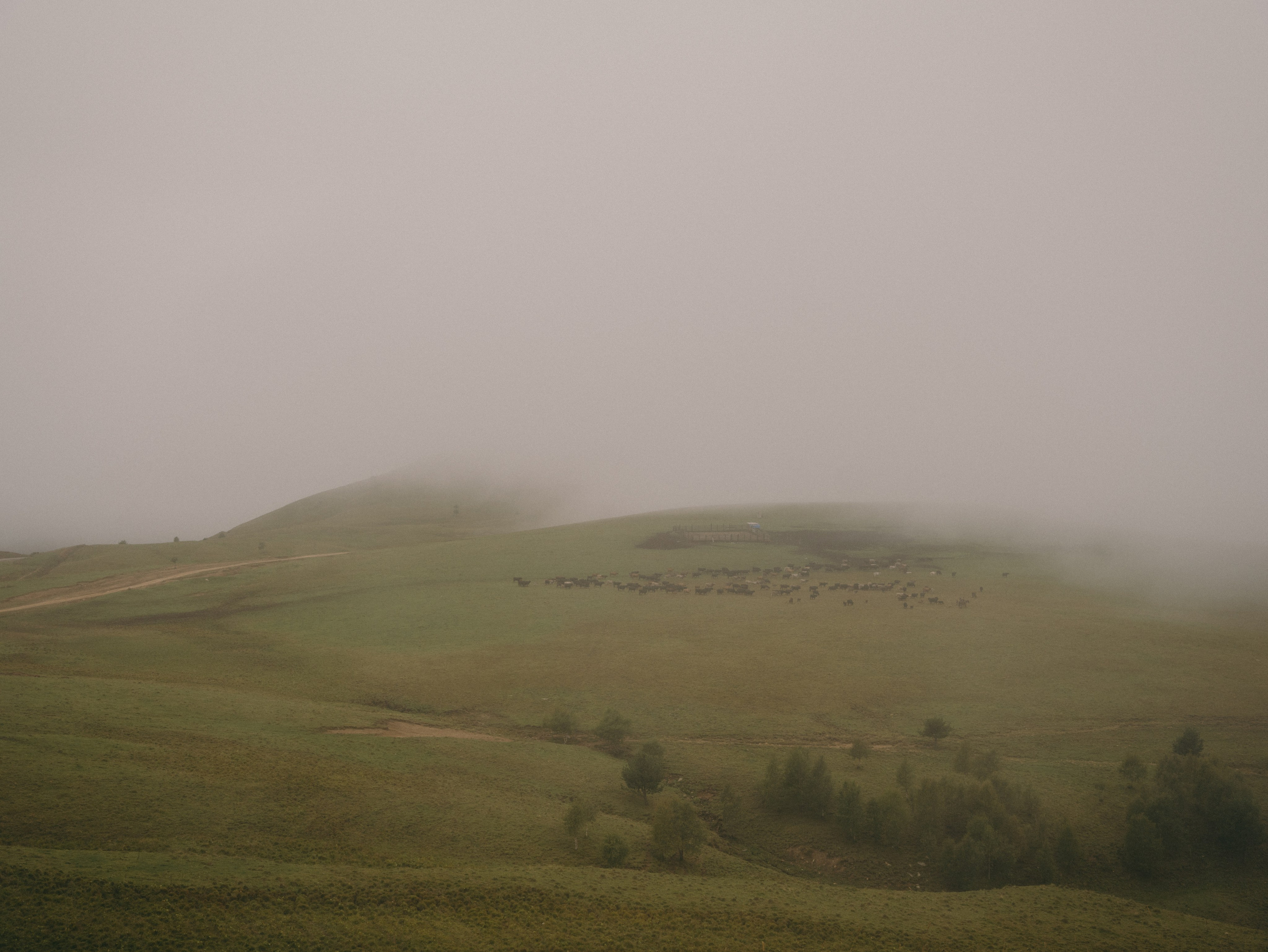 Пикник в горах. Свадебный фотограф Ирина Беляева Пятигорск|Кисловодск|Эльбрус|Домбай
