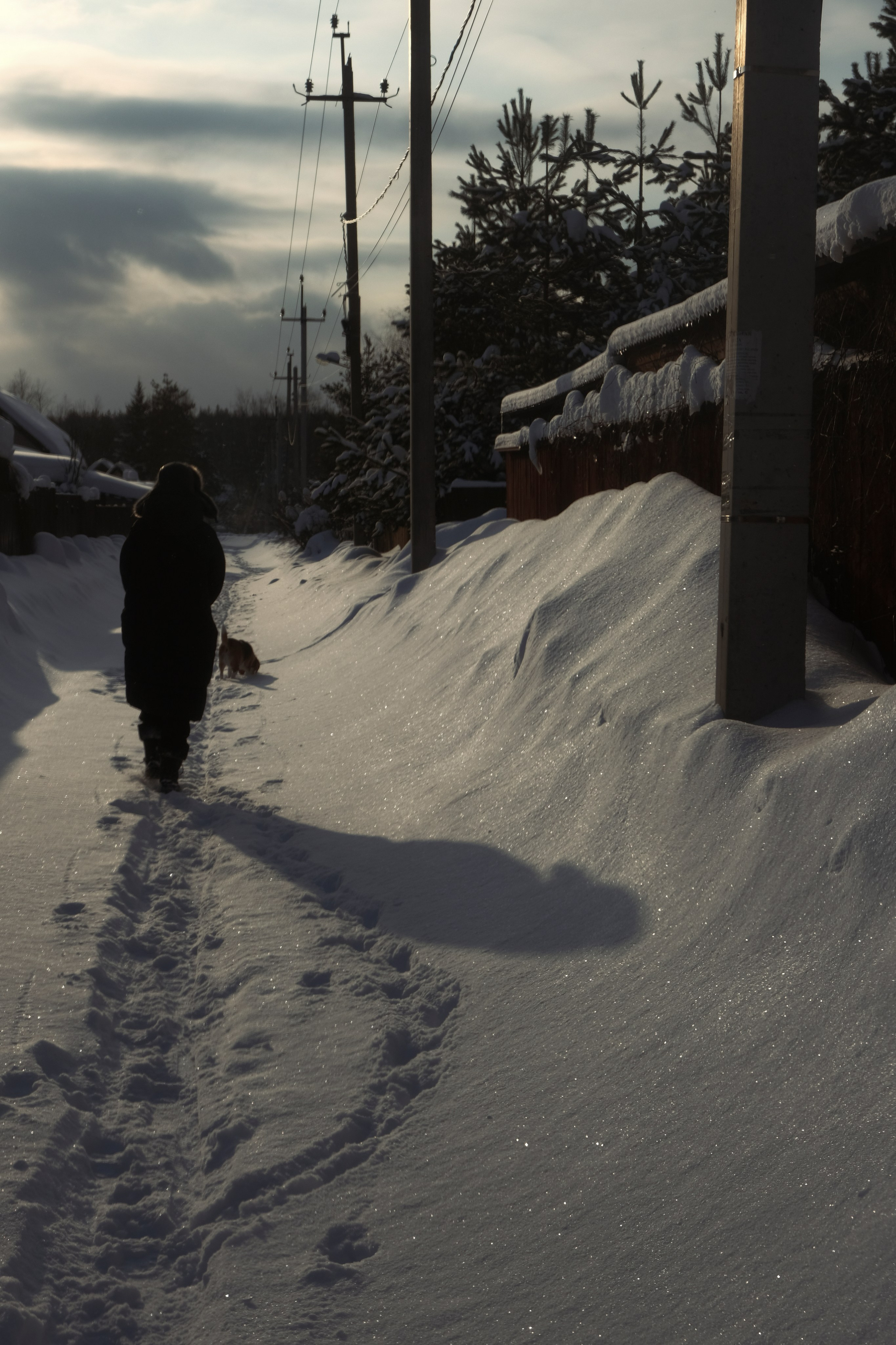 Под Москвой. Фотограф Настя Лев