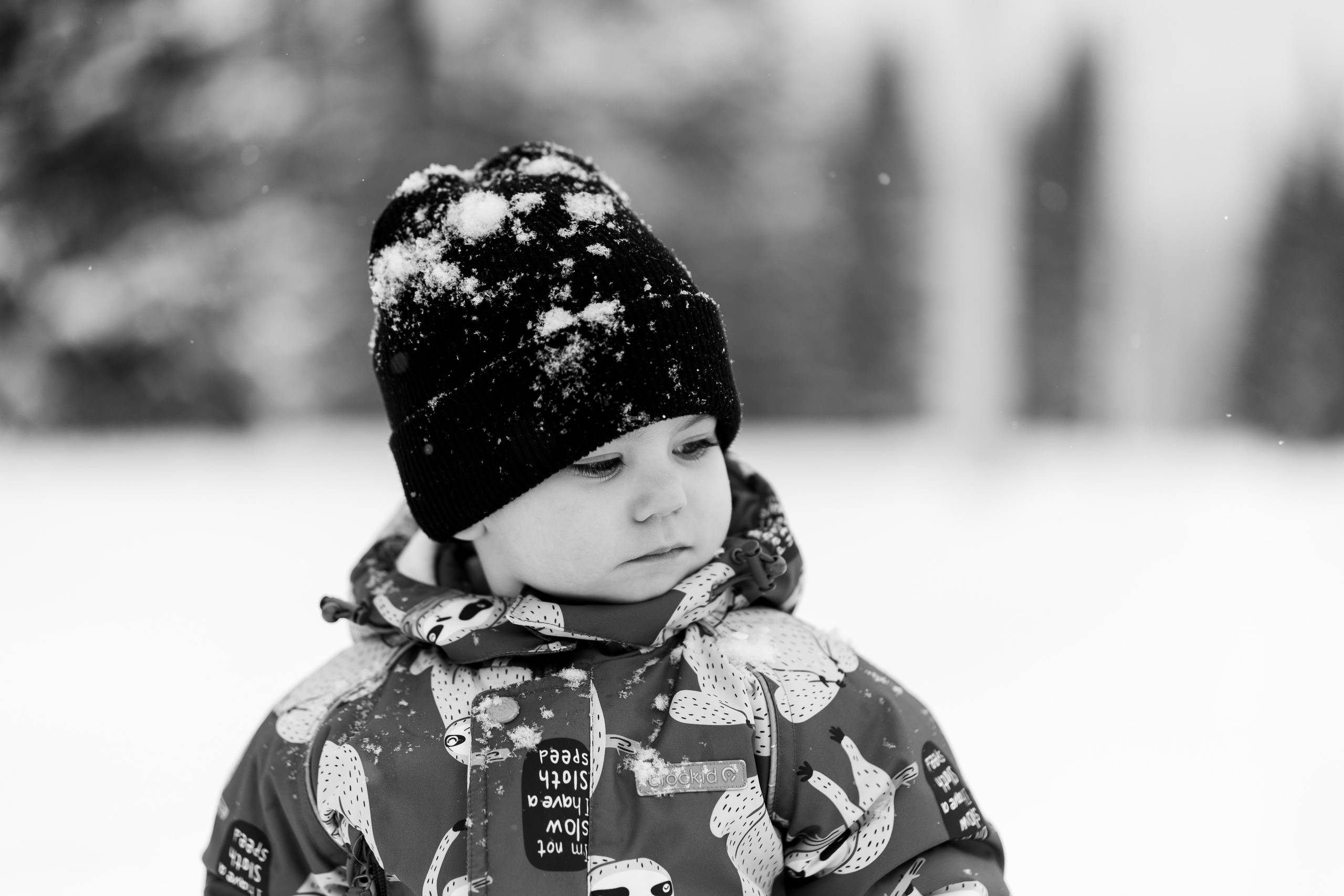 Соня&Лёня. Анастасия Паршукова — фотограф Шерегеш Новосибирск