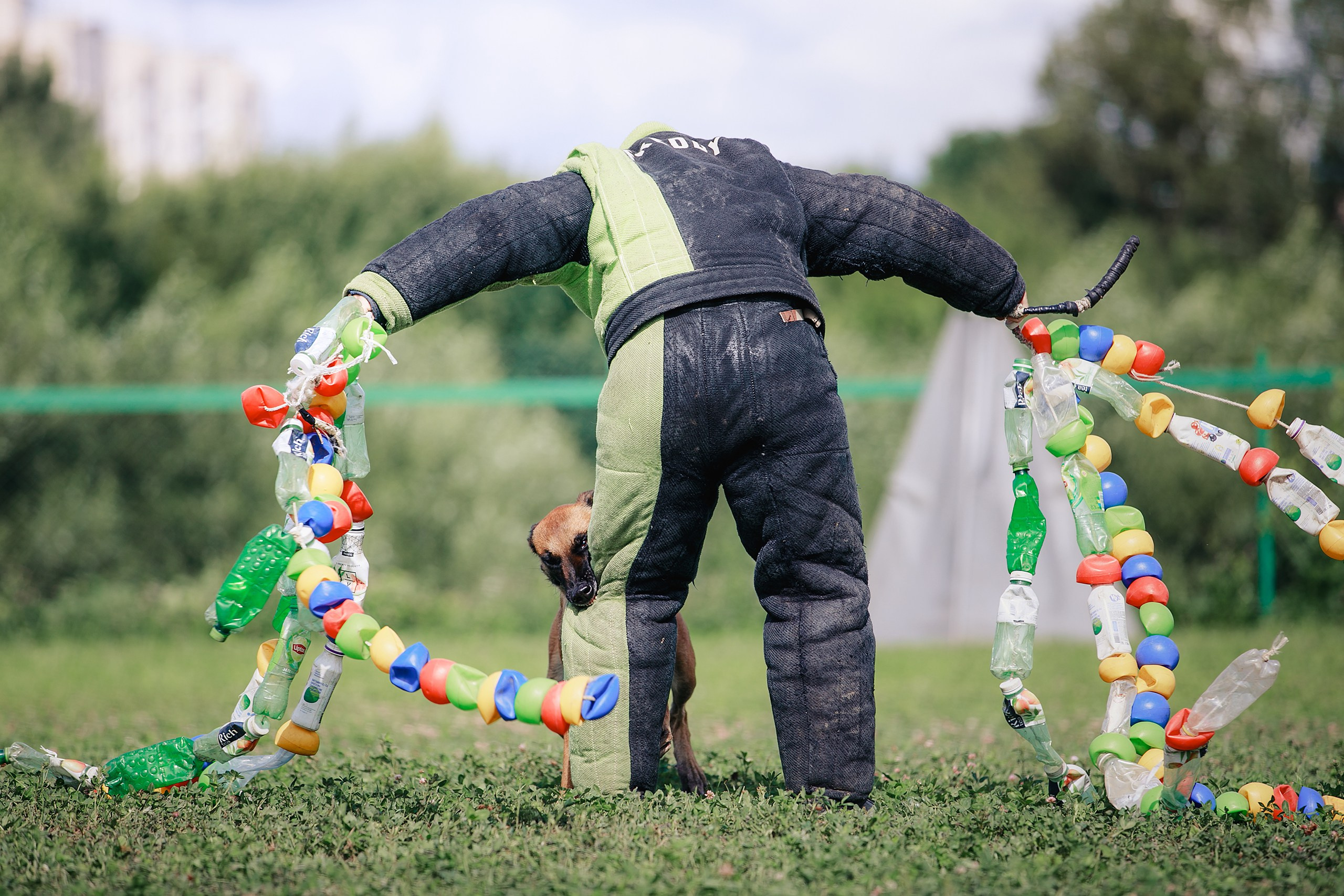 Мондьоринг М1, М2, М3, Вологда. Фотограф-анималист Mary Mart — Москва, Питер