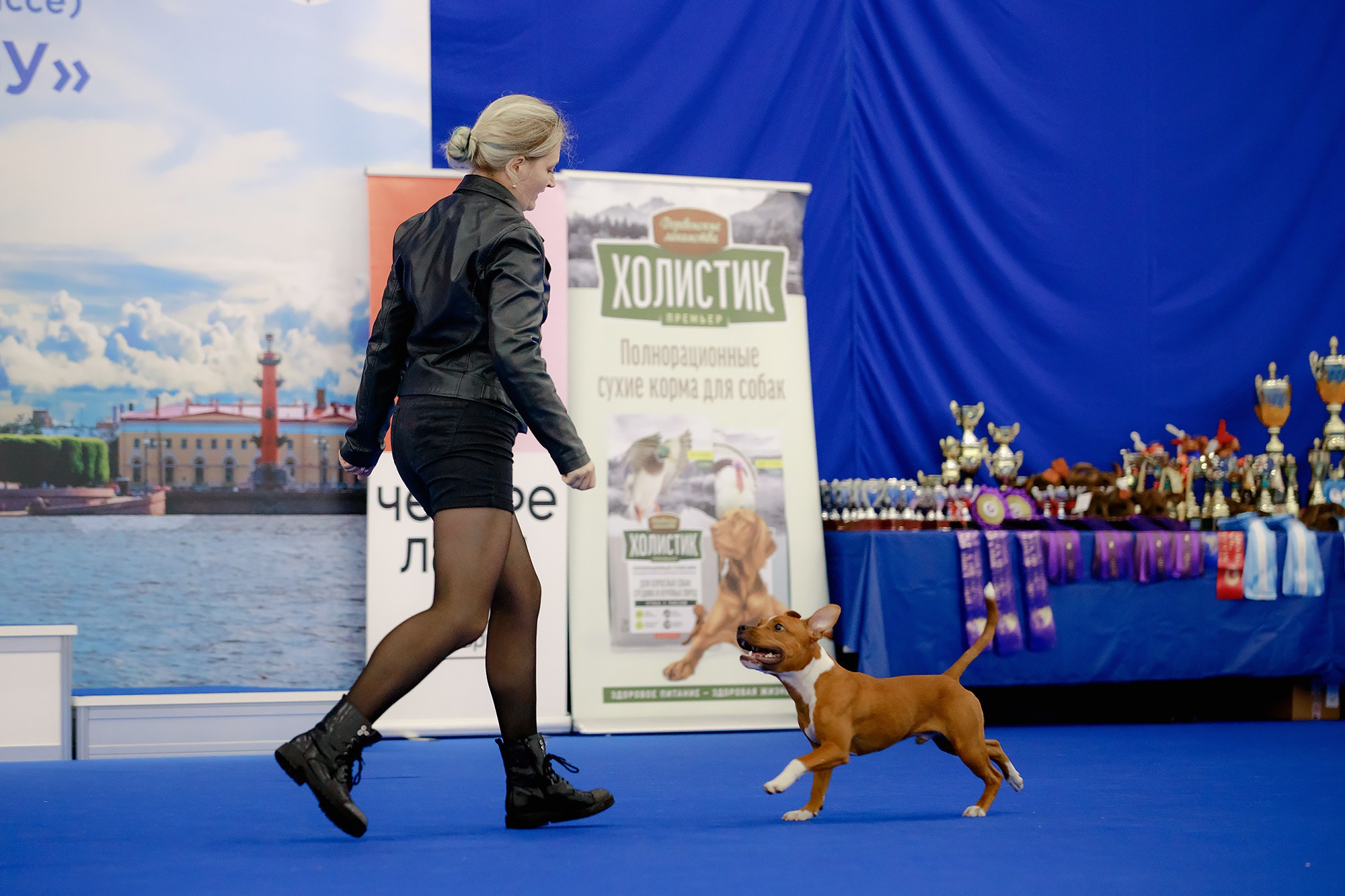 Танцы на выставке «Зоошоу», СПб. Фотограф-анималист Mary Mart — Москва, Питер