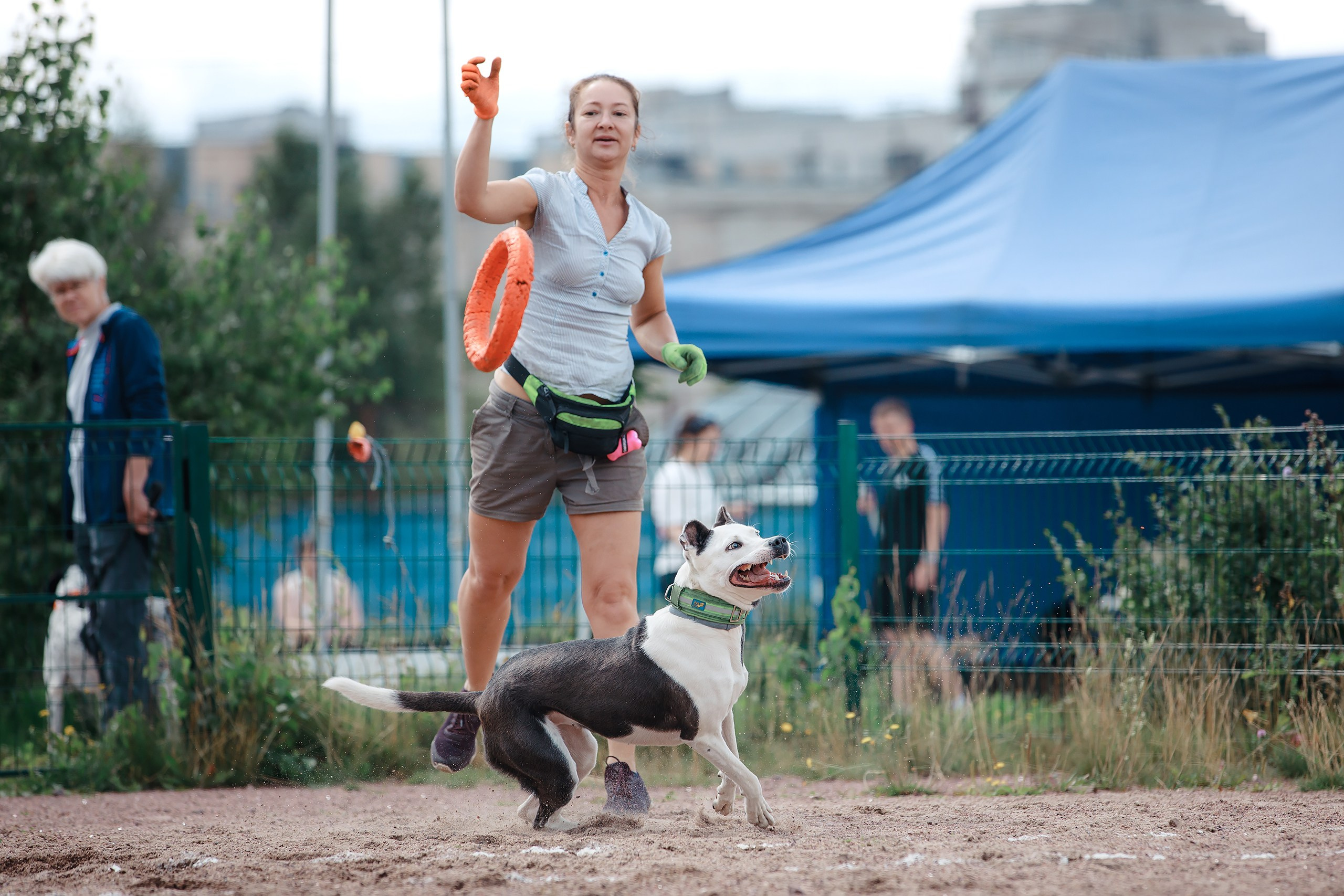 Питч&Гоу + веселые старты. Фотограф-анималист Mary Mart — Москва, Питер
