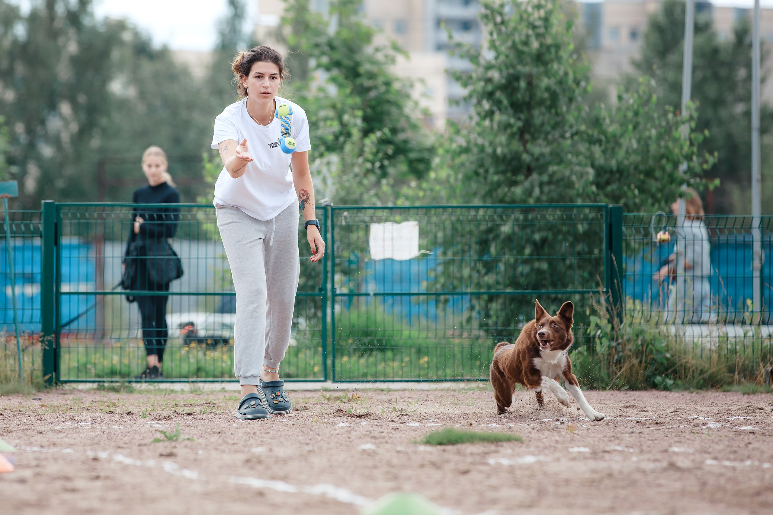 Питч&Гоу + веселые старты. Фотограф-анималист Mary Mart — Москва, Питер