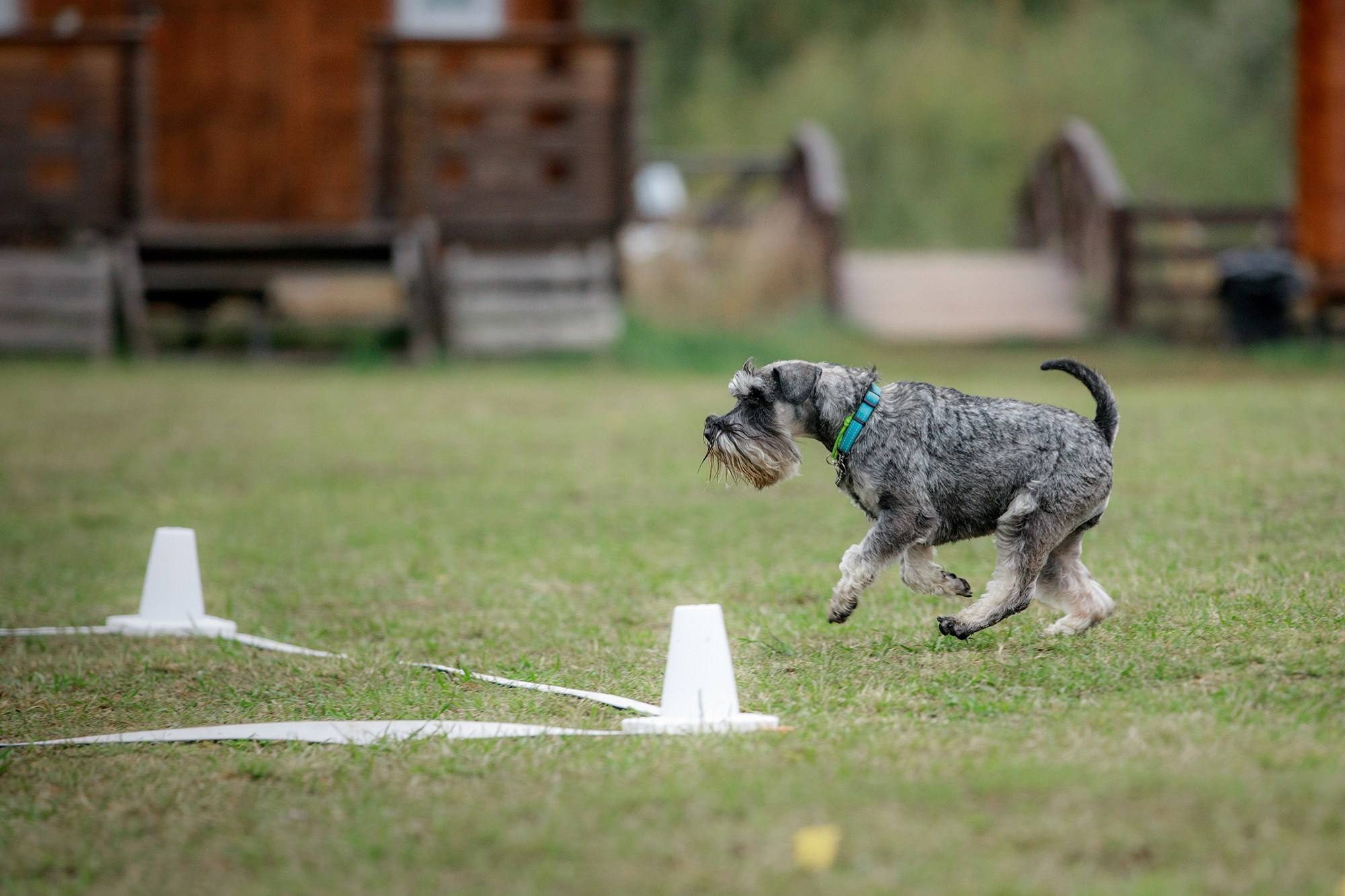 Лагерь по ОБД с Инной Баженовой. Фотограф-анималист Mary Mart — Москва, Питер