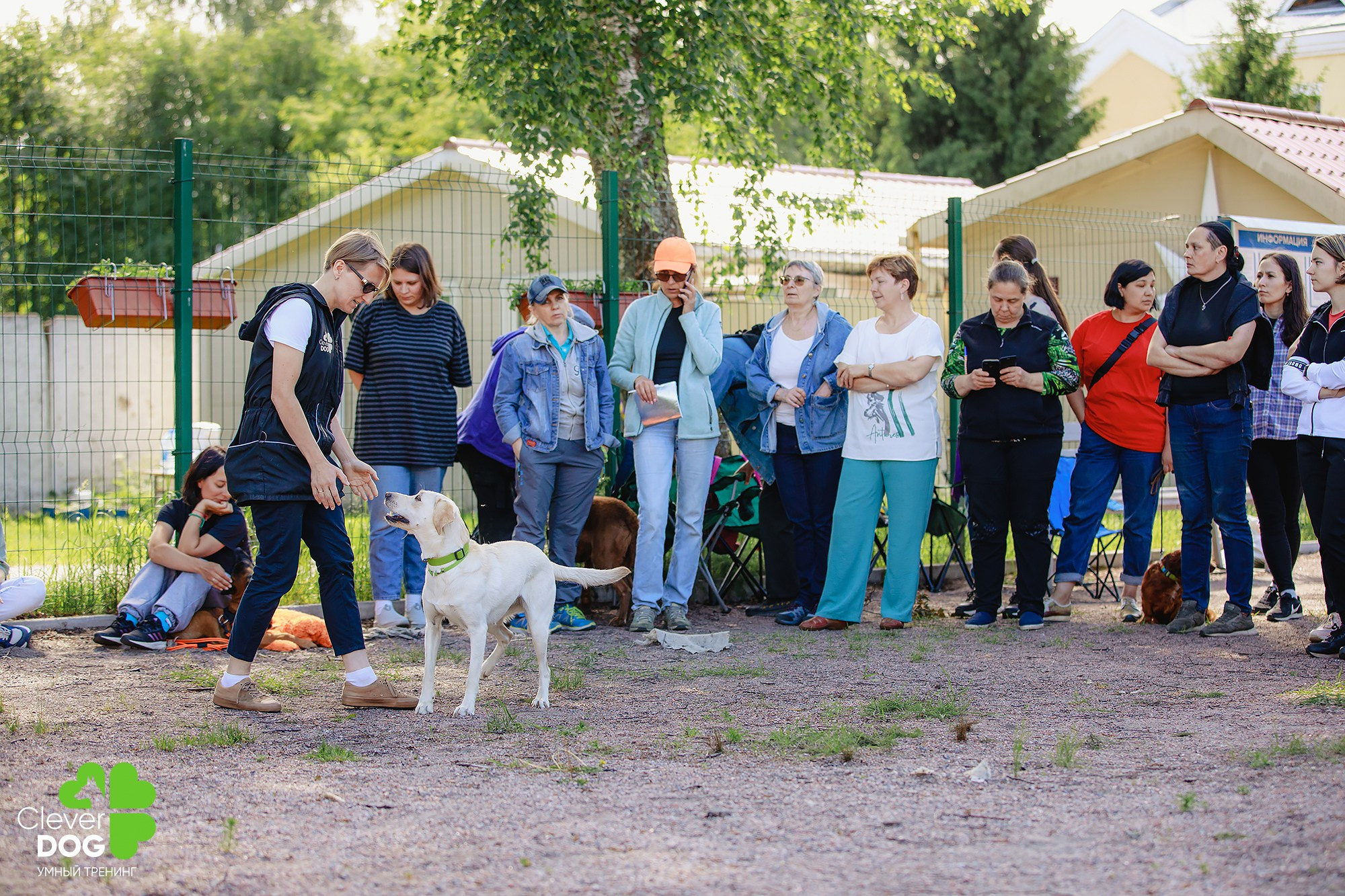 Семинар по поиску запаха с Иваном Ломовым, организатор CleverDog, СПб. Фотограф-анималист Mary Mart — Москва, Питер