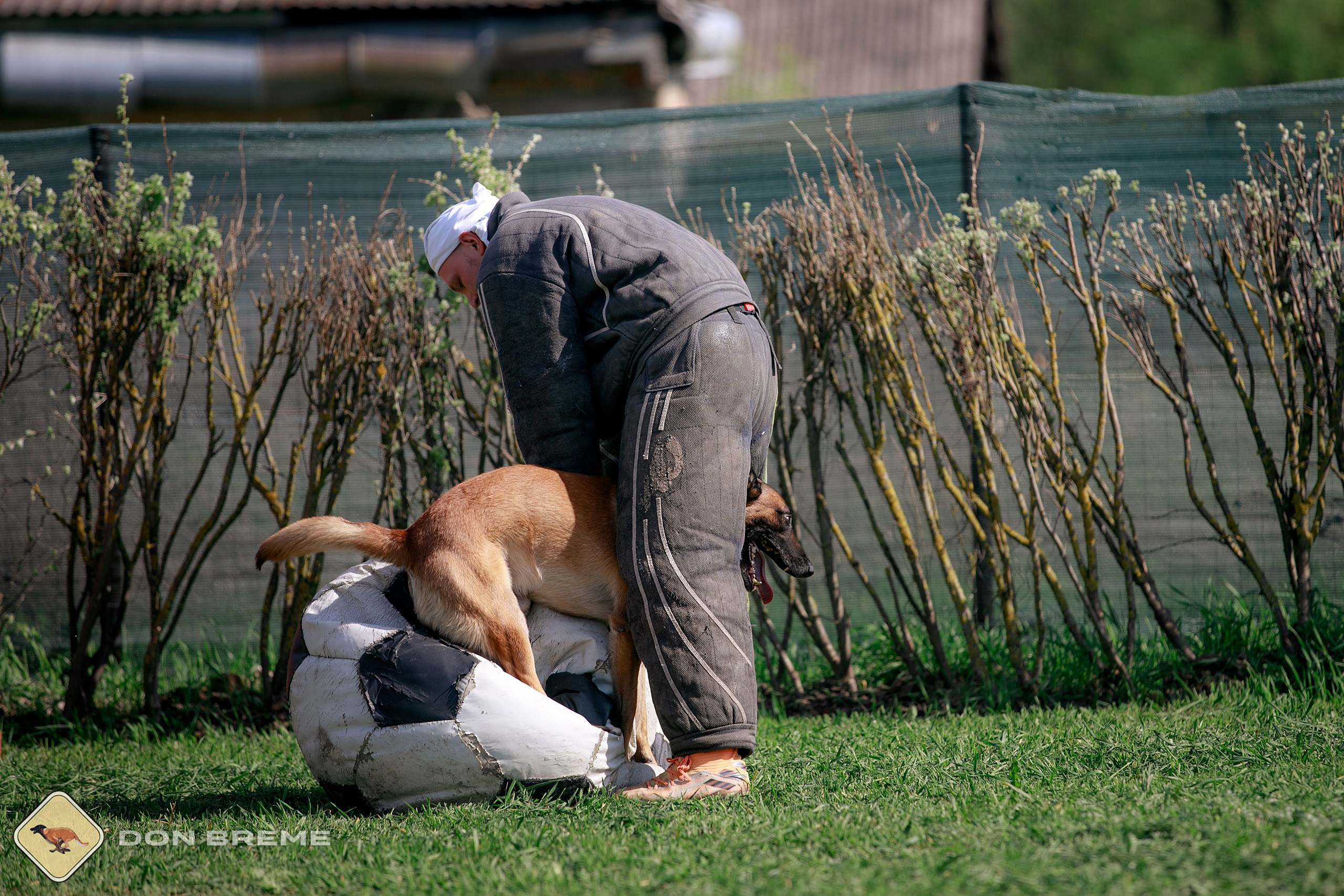 Семинар для фигурантов, день 4. Фотограф-анималист Mary Mart — Москва, Питер