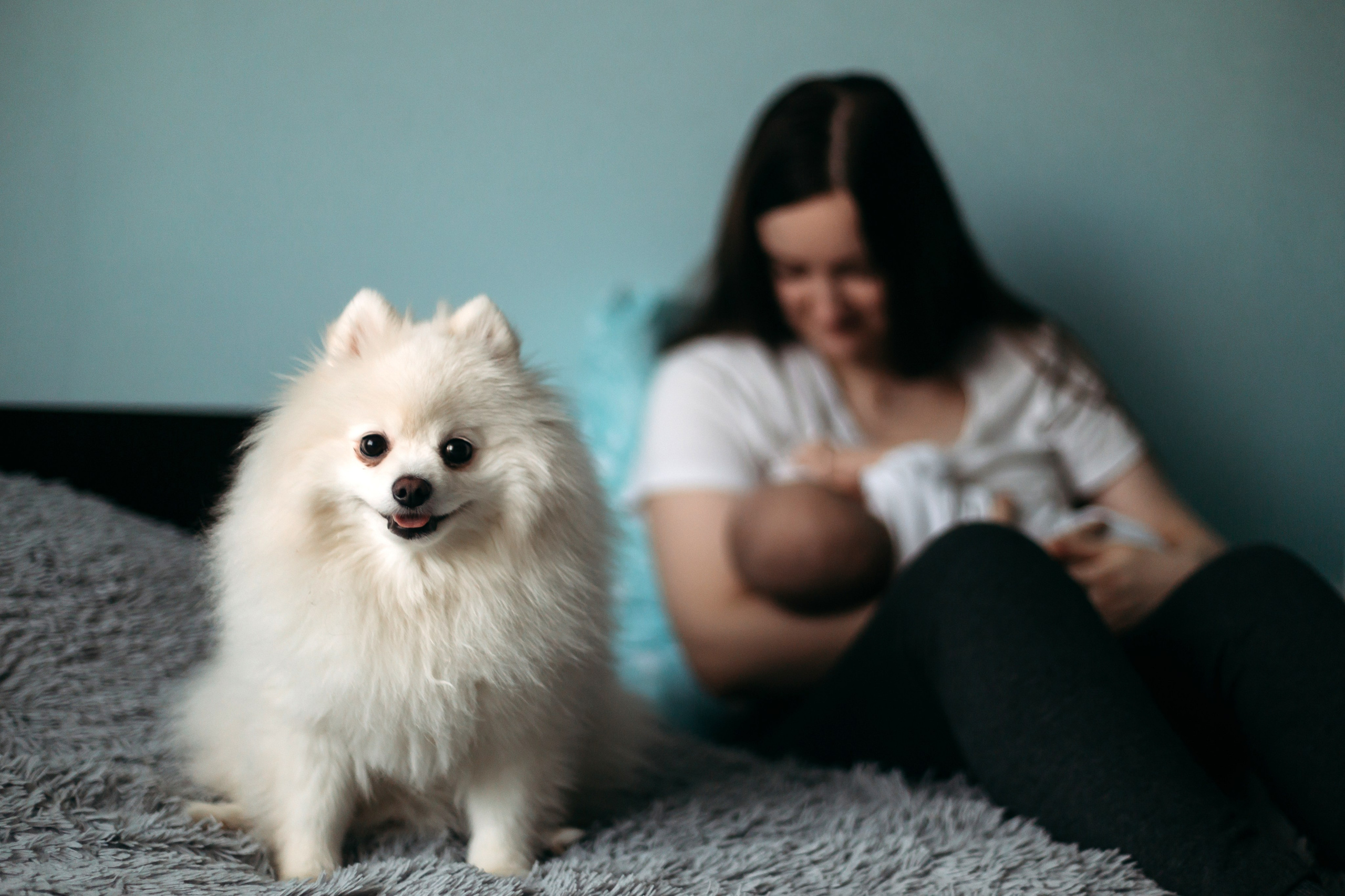 Семья Елены. Семейный фотограф Марина Платонова